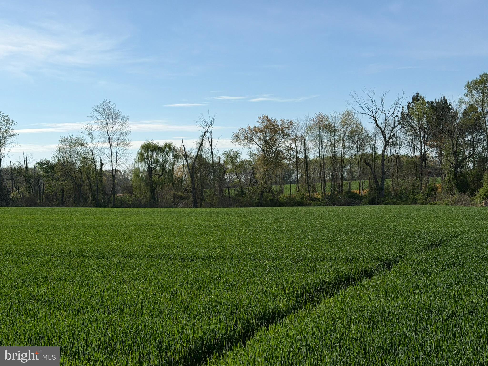 CORDOVA - Farm