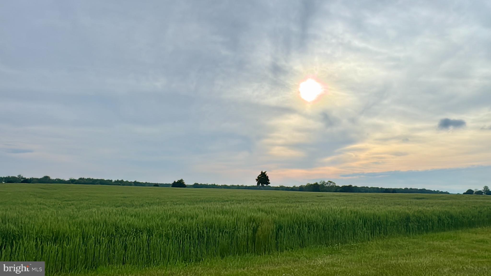 CORDOVA - Farm