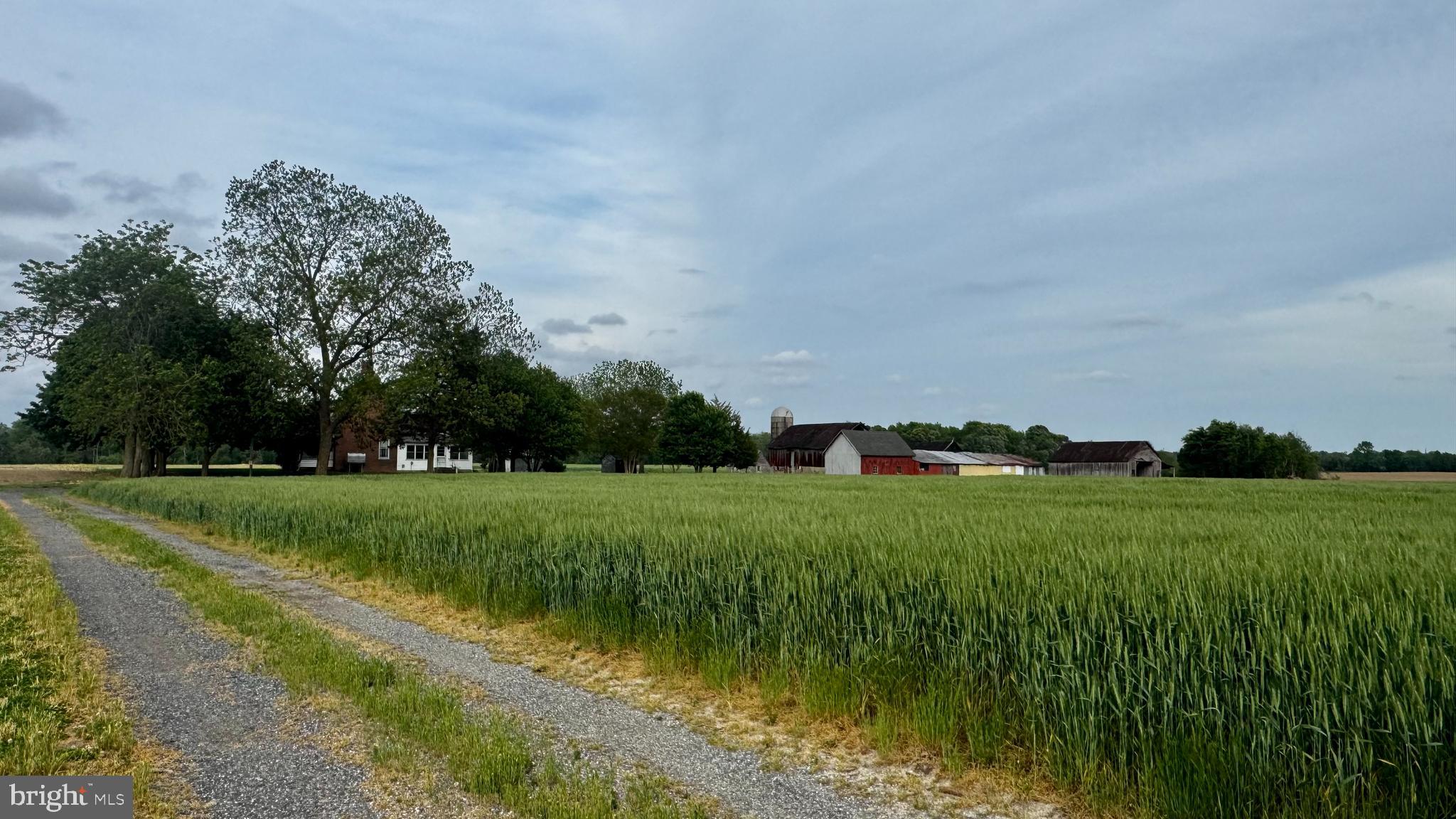 CORDOVA - Farm