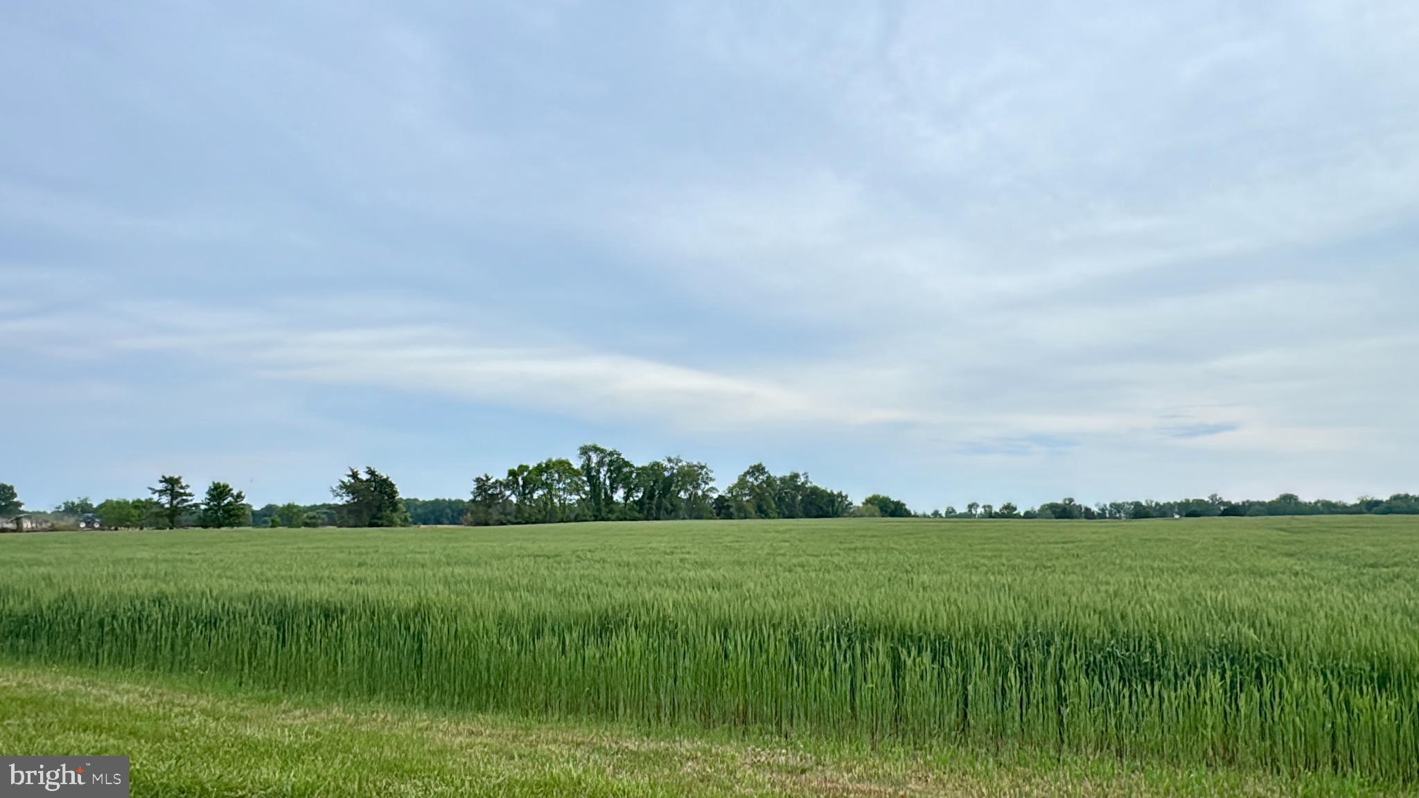 CORDOVA - Farm