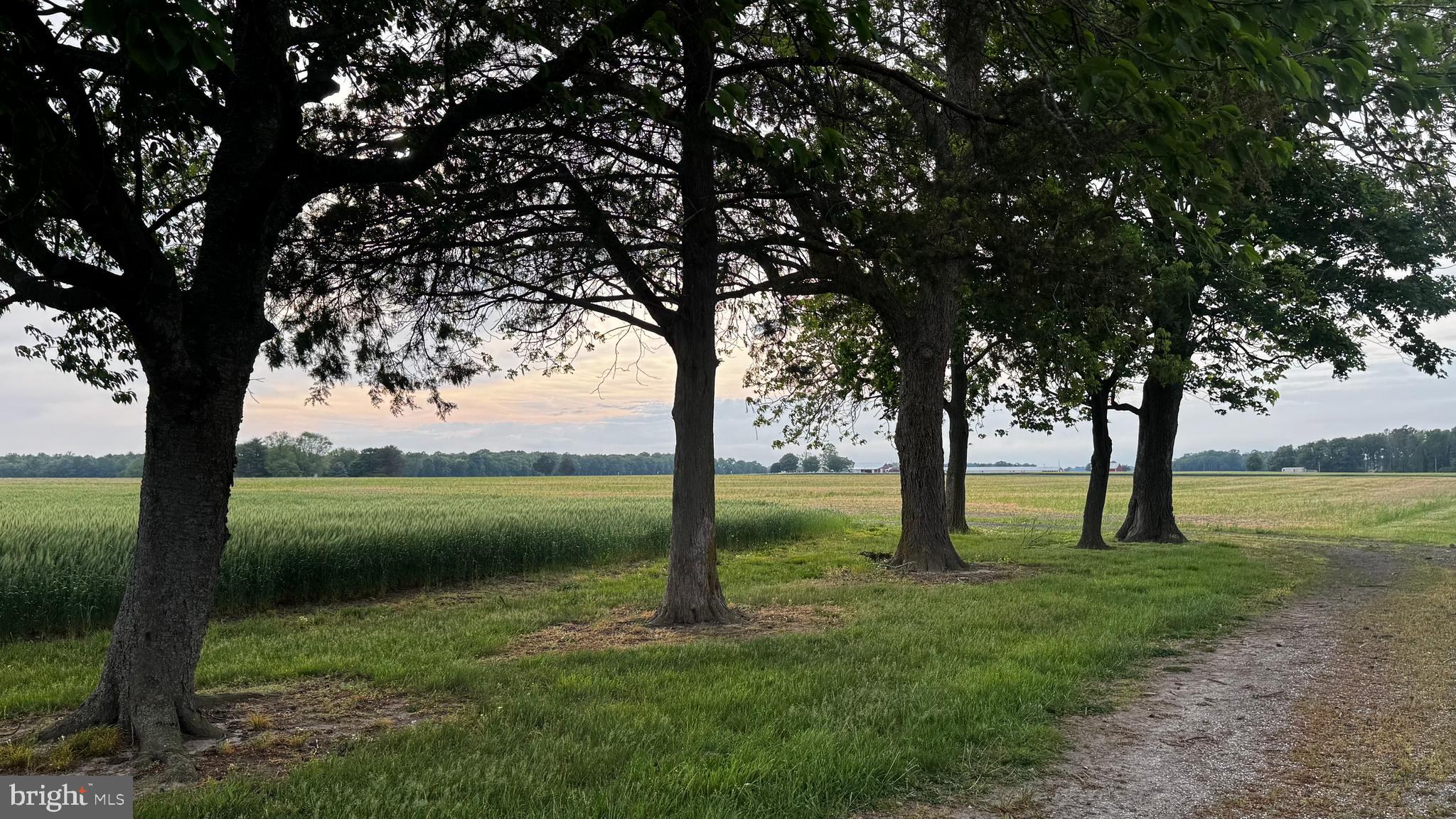 CORDOVA - Farm