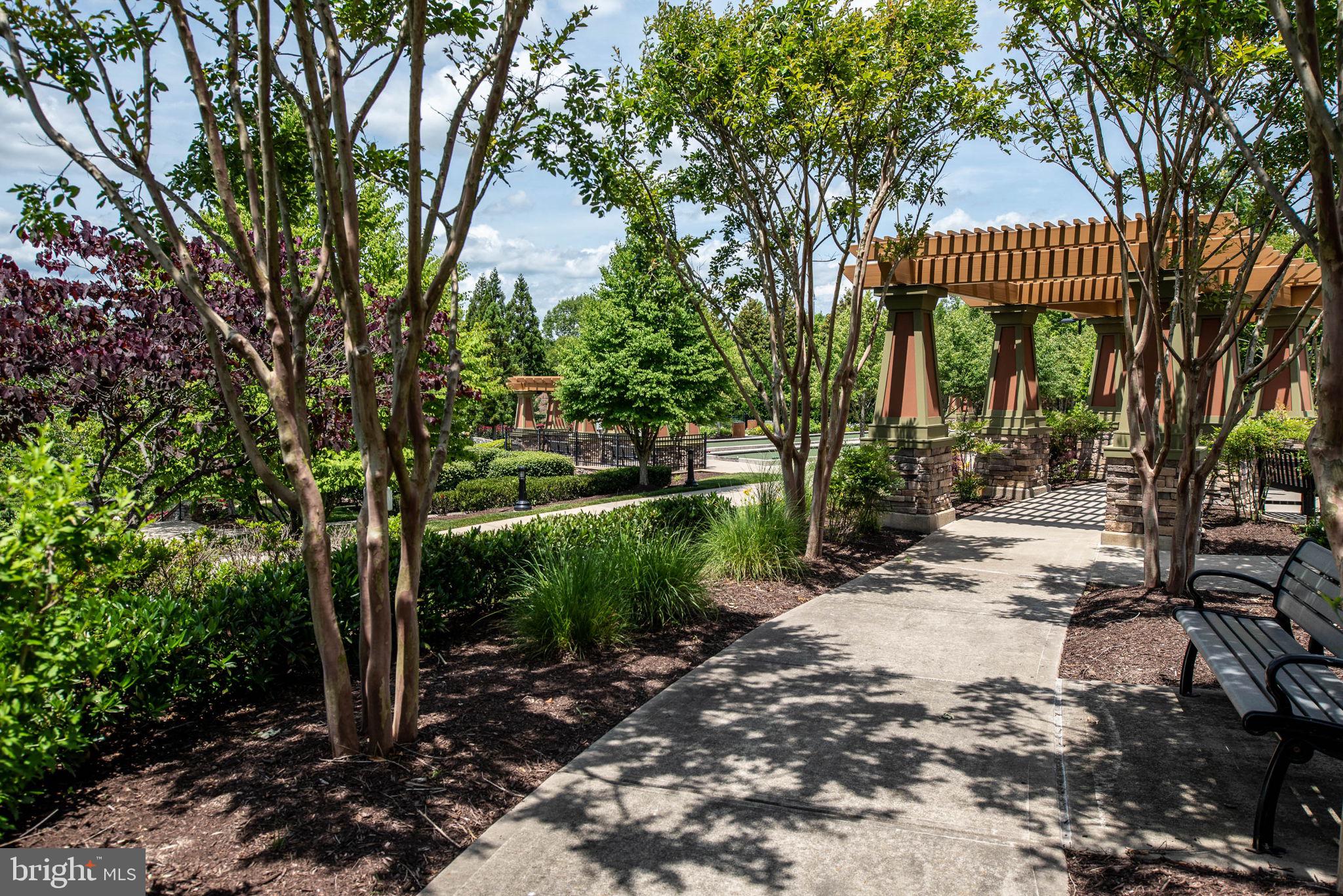 CELEBRATE VIRGINIA NORTH - Residential