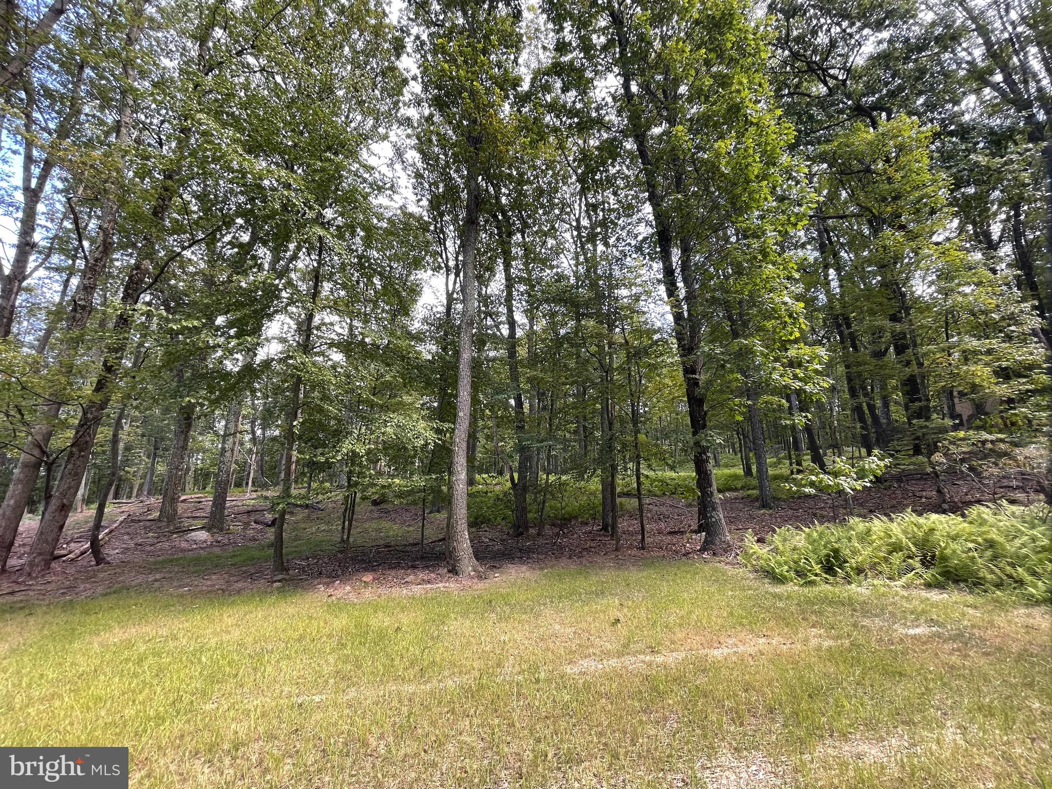 Beautiful lot at the edge of a cul-de-sac, that gently slopes upward to a level perch, just waiting for a home.  Situated on a low-traveled street at the edge of the community with adjoining lot 49 Alpine also for sale.  When the leaves fall from the trees you'll see views across the mountain!  The home of your dreams is calling!!!  The Cove Village Community is situated in the foothills of the Poconos and only 1 1/2 hours to New York,  With easy access to I-81 your commute to Hazleton, Wilkes Barre, or Scranton is a breeze.  Bring your own builder and let's get started.   Another cost-saving perc of the community is having public water and sewer already in place and ready for you to connect through Aqua of Pa.   750 acres of unoccupied prime hunting, ATV, and snowmobile riding land surround the residential portion of Cove Village and is allocated only for the residents of the community and their guests!  Driving through the community, the peace and tranquility will envelop you.  At any given moment the deer, turkey, and birds will entertain you in your own backyard.   Homes within the community vary from rustic cabins and chalets to traditional ranch or two-story homes and even exquisite new construction or dreamy mountain log homes.  There really is something for everyone.  The approximately 278 acres of residential homes and lots are occupied by full-time residents, part-time vacation homes, and even some snowbird second homes.  Cove Village offers an abundance of amenities including a swimming pool, stocked fishing lake, a basketball court, tennis courts, a volleyball court, 2 playgrounds, a baseball field, ATV paths, hunting, a mini golf course, walking paths, and year-round Community events.  I can't forget to mention the beautiful lodge ideal to rent for family gatherings.   This lot and community just might be exactly what you've been looking for.  Air B and B are not permitted. Camping on vacant lots is not permitted.  Mobile homes are not permitted.  The minimum square footage when building is 1400 square feet.  The community maintains the roads and snow removal.  Trash collection is also provided.  Tax ID number and assessed value will be assigned by the county following closing.  An appointment is required to view due to the gated community.  Call to schedule your tour today!
