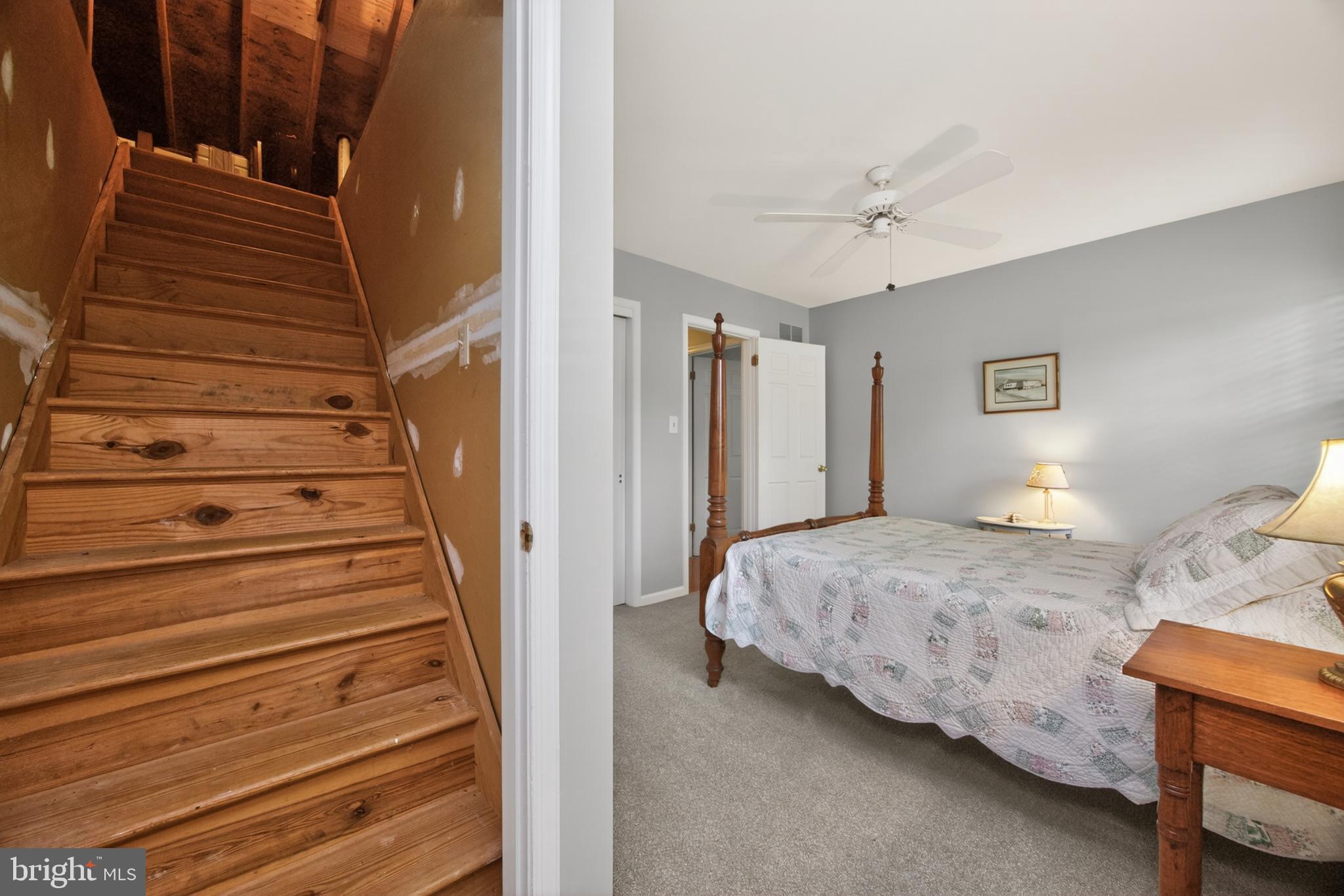 ECHO DELL - Residential