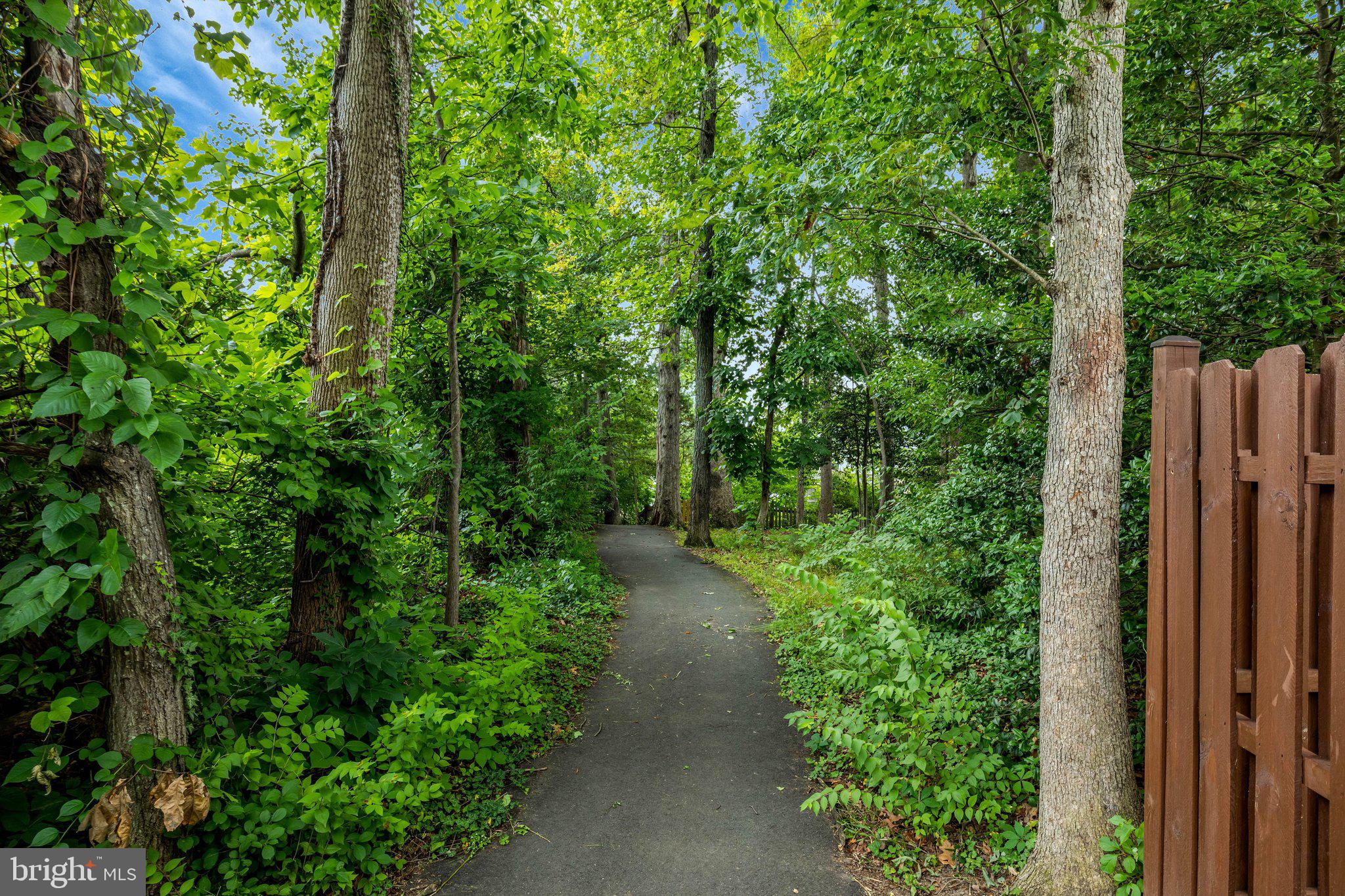 LINDSAY PARK - Residential