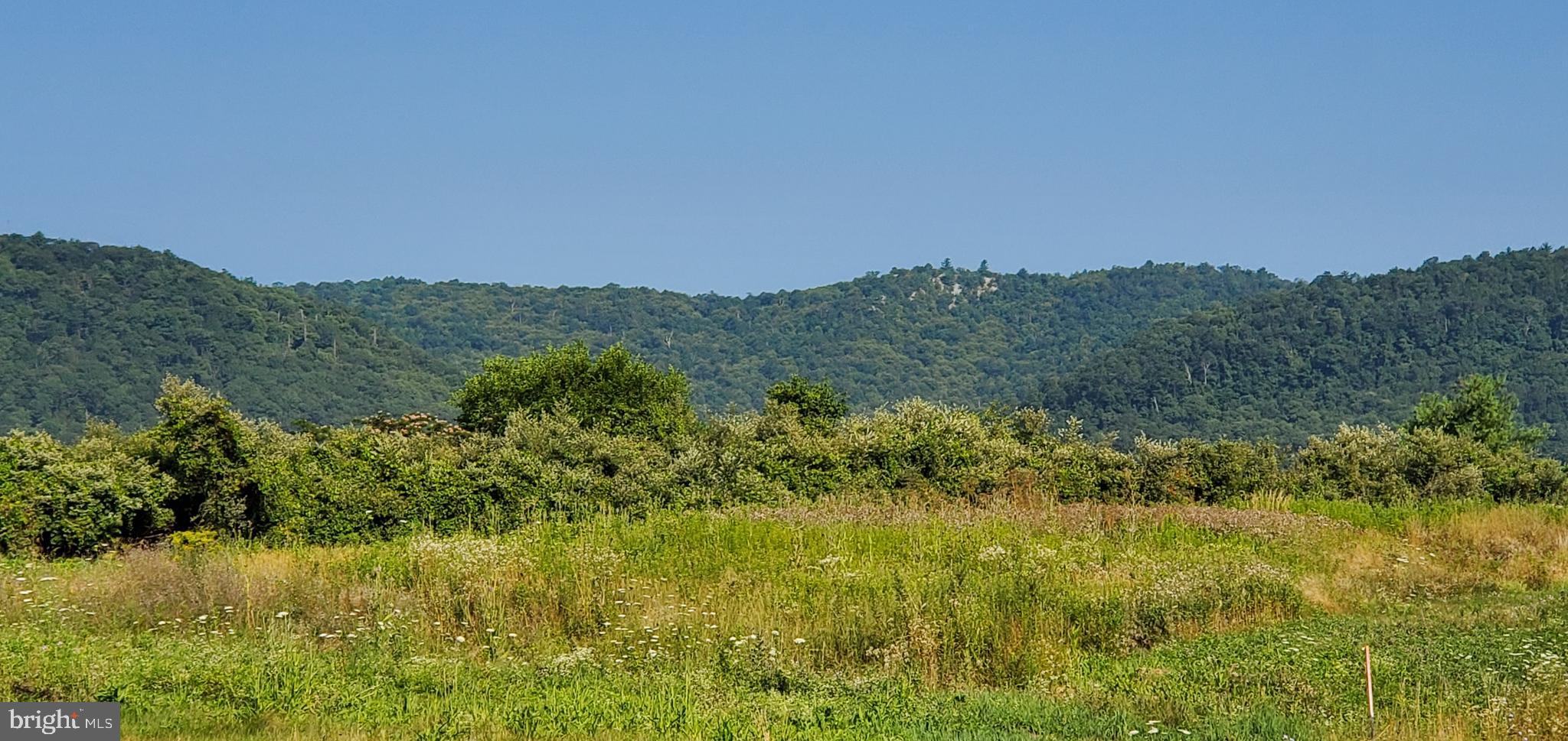 LOUDON'S VIEW - Land