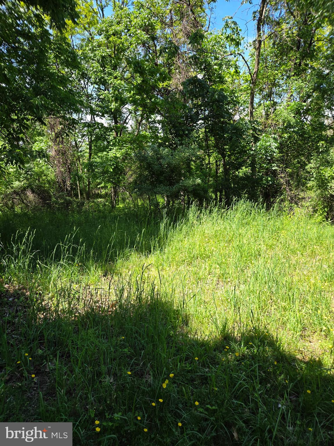 SUSQUEHANNA TOWNSHIP - Land
