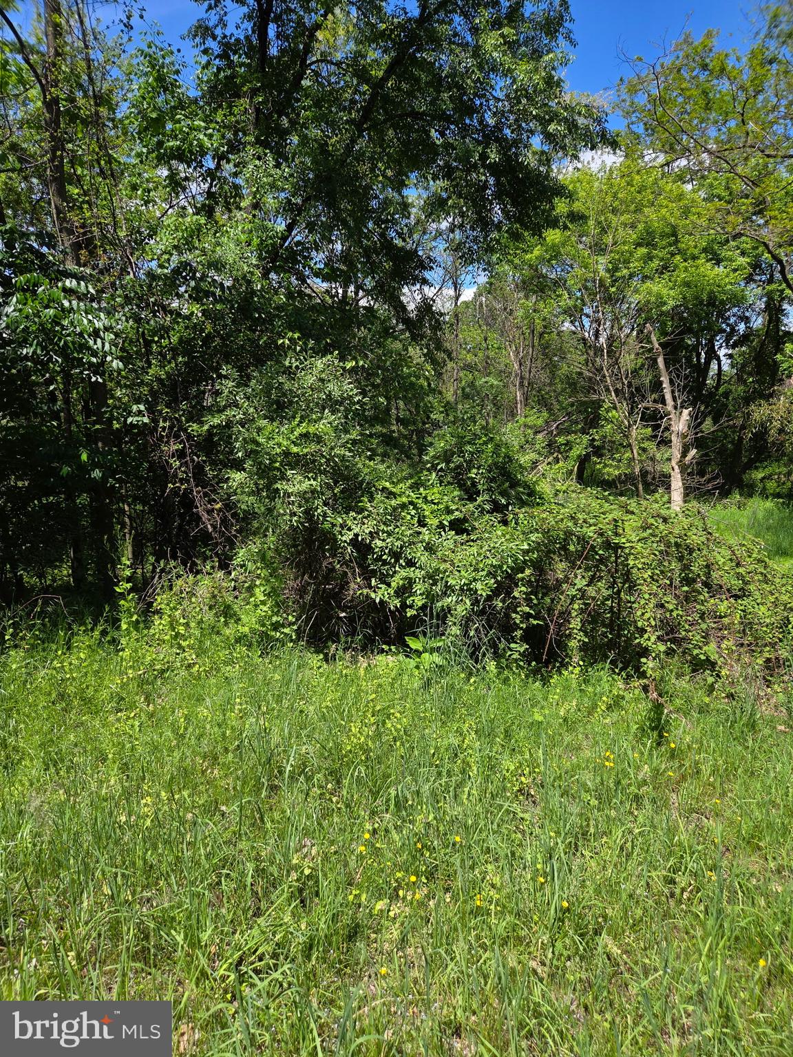 SUSQUEHANNA TOWNSHIP - Land