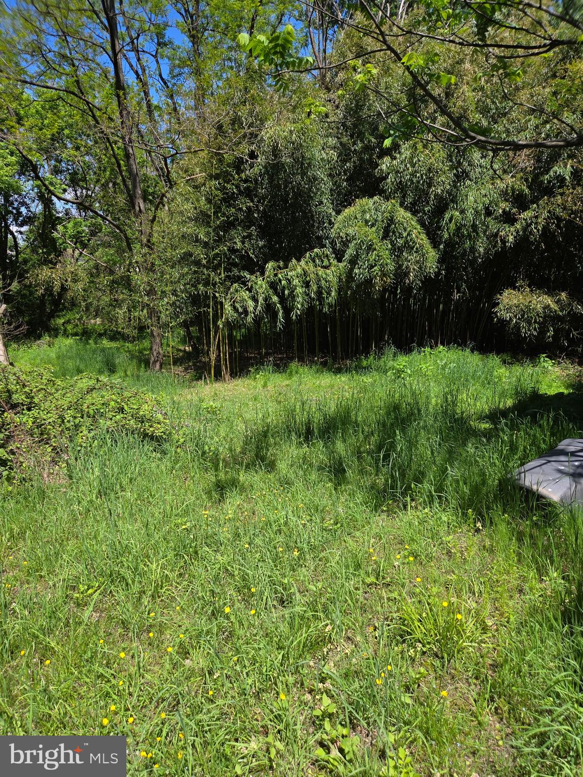 SUSQUEHANNA TOWNSHIP - Land