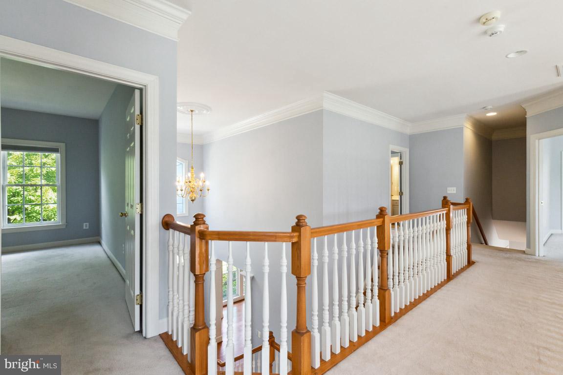 BUCKLEYS RESERVE - Residential Lease