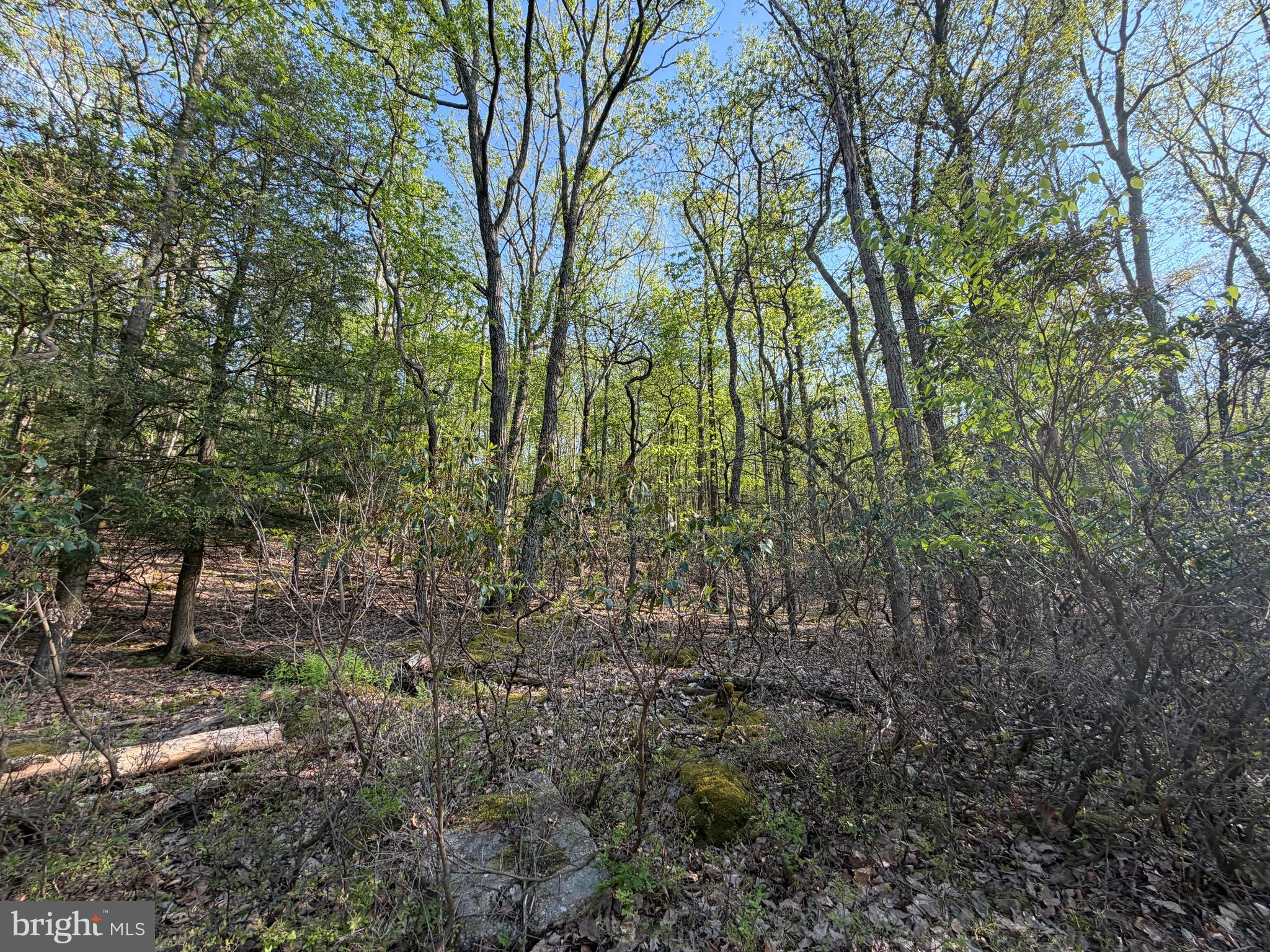 Cove Village is situated in the foothills of the Poconos and only 1 1/2 hours to New York.  Situated near the edge of the community this lot has both level and sloped area allowing for the possibility of a walk out basement and plenty of usable yard space.  If that's not enough the possibility to own the adjoining lot exists allowing for 1.83 acres.  With easy access to I-81, your commute to Hazleton, Wilkes-Barre, or Scranton is a breeze.  Bring your own builder and let's make your dreams come true.   Your building costs are lower here since public water and sewer are already in place, ready for you to connect through Aqua of Pa.  Do you desire a cabin or home where you can hunt, fish, ATV, snowmobile, and more?  How does approximately 750 acres of unoccupied prime hunting, ATV, and snowmobile riding land sound to you?  Yes, that's right!  Adjoining the residential portion of Cove Village is just that for residents of the community and their guests!  Driving through the community, the peace and tranquility will envelop you.  The homes vary from rustic cabins, chalets, traditional ranch, two-story homes, exquisite new construction, and even dreamy mountain log homes.  There really is something for everyone.  The approximately 278 acres of residential homes and lots are occupied by full-time residents, part-time vacation homes, and even some snowbird second homes.  Cove Village is located in the mountains of Northeastern Pennsylvania and offers an abundance of amenities including a swimming pool, stocked fishing lake, a basketball court, tennis courts, a volleyball court, 2 playgrounds, a baseball field, ATV paths, hunting, a mini golf course, walking paths, and year-round Community events.  I can't forget to mention the beautiful lodge ideal to rent for family gatherings.   This lot and community just might be exactly what you've been looking for.  Air B and B are not permitted. Camping on vacant lots is not permitted.  Mobile homes are not permitted.  The minimum square footage when building is 1400 square feet.  The community maintains the roads and snow removal.  Trash collection is also provided.   An appointment is required to view due to the gated community.  Call to schedule your tour today!