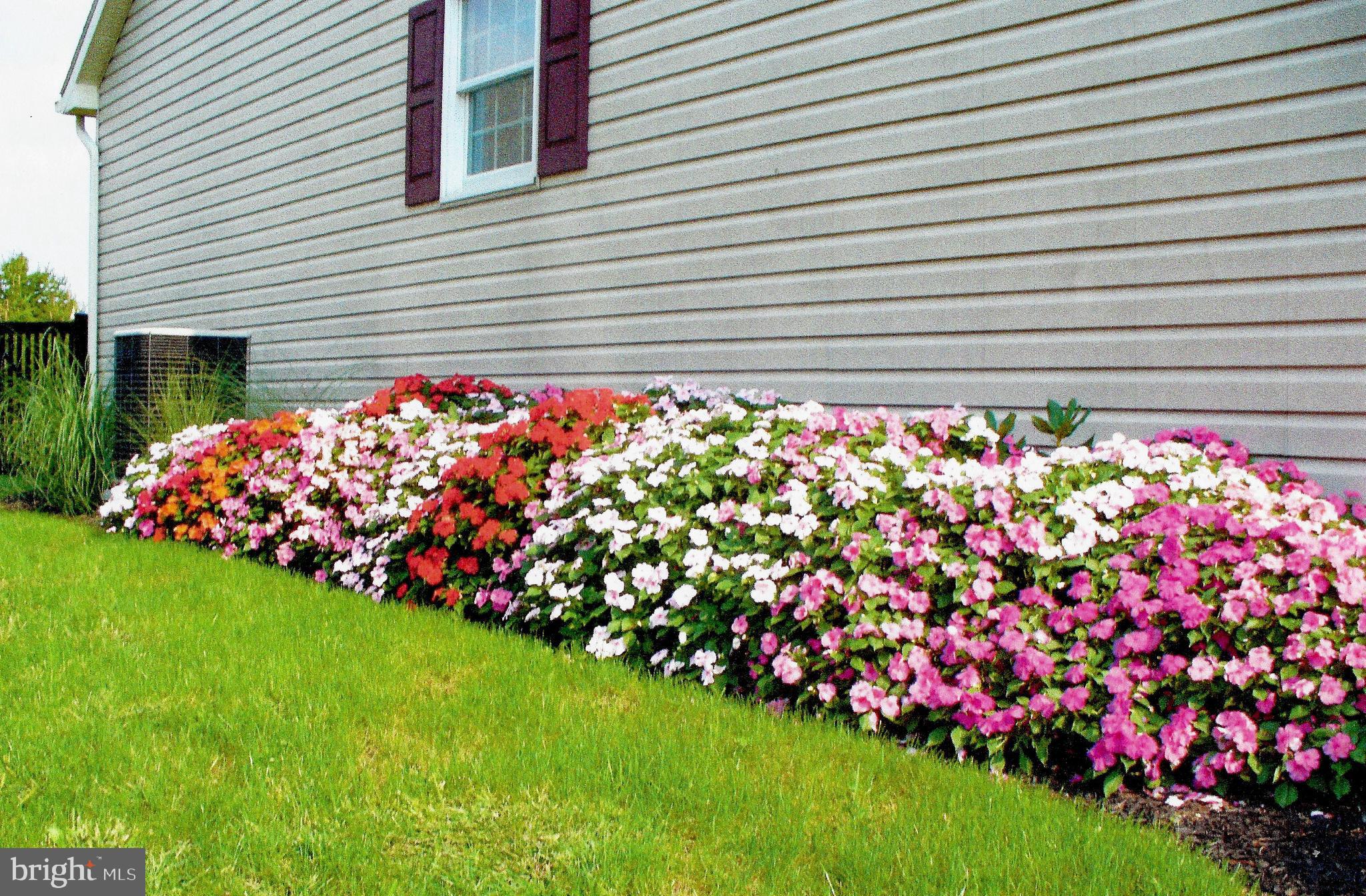 SPRING MEADOWS - Residential