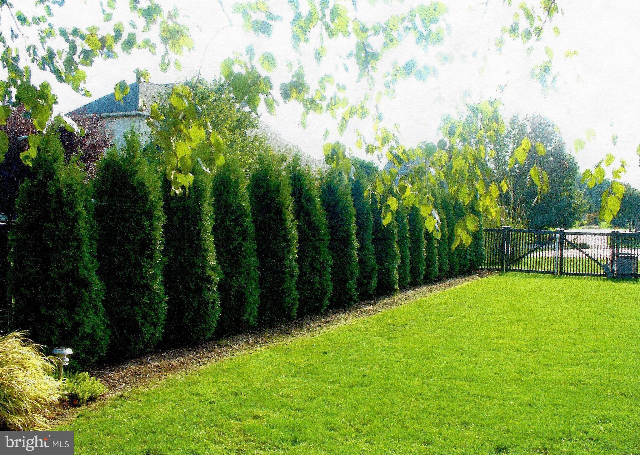 SPRING MEADOWS - Residential