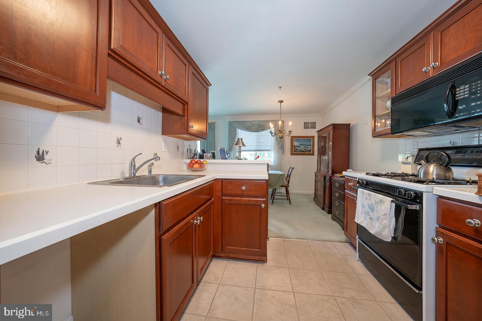 PAOLI POINTE - Residential