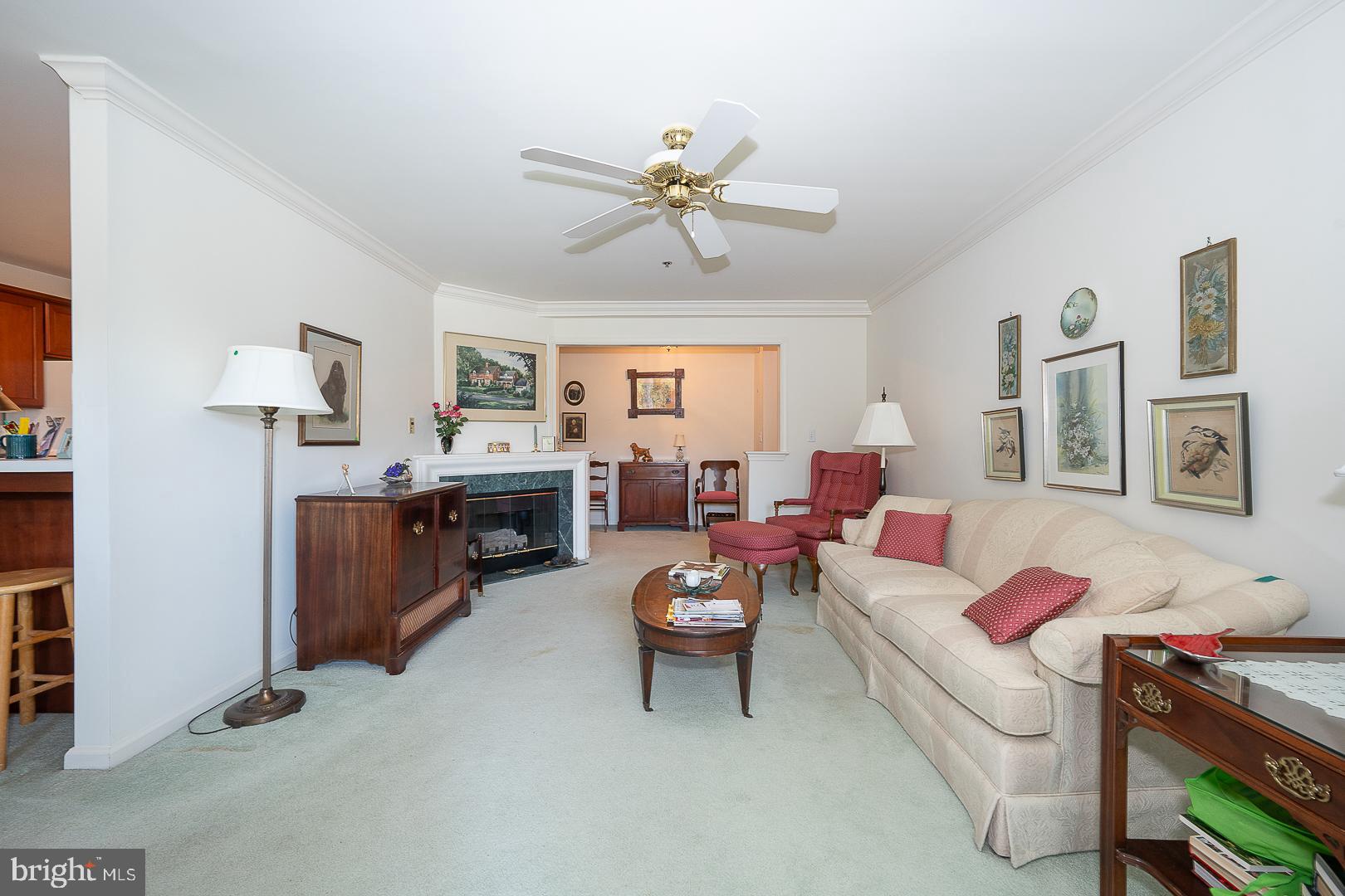 PAOLI POINTE - Residential