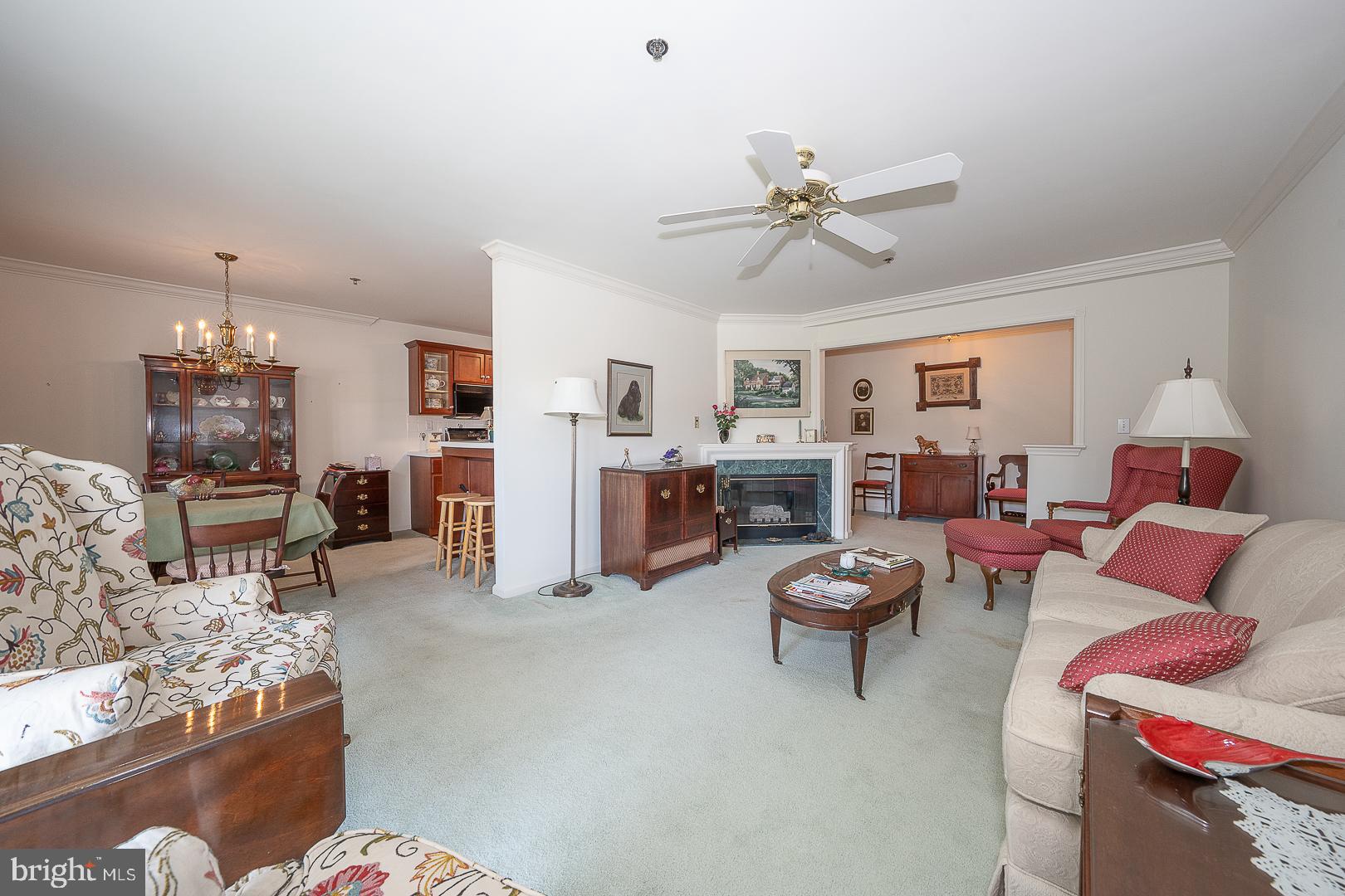 PAOLI POINTE - Residential