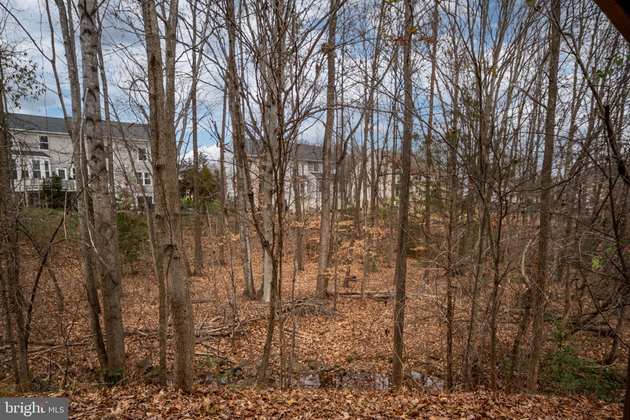 AUSTIN RIDGE - Residential