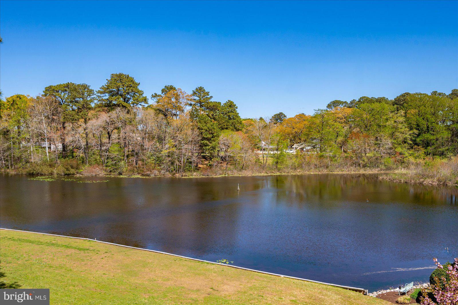 CANAL WOODS III - Residential
