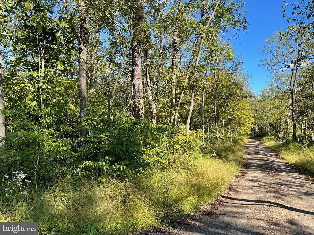 Rural and secluded wood lots, 6.5 acres. Ready to Build Dream Home or Cabin for a get-away. Close to State Forest, Deed/Restrictions, Easement Right of Way. Selling with 2 PERC tests for septic.,No Singlewides,Farm Type: Other,Farm Fuel: None,Small storage shed(Bldg1_Desc),Shed(Bldg1_Constr),Poor(Bldg1_Condition),Wood(Bldg1_Floor),Tin(Bldg1_Roof)