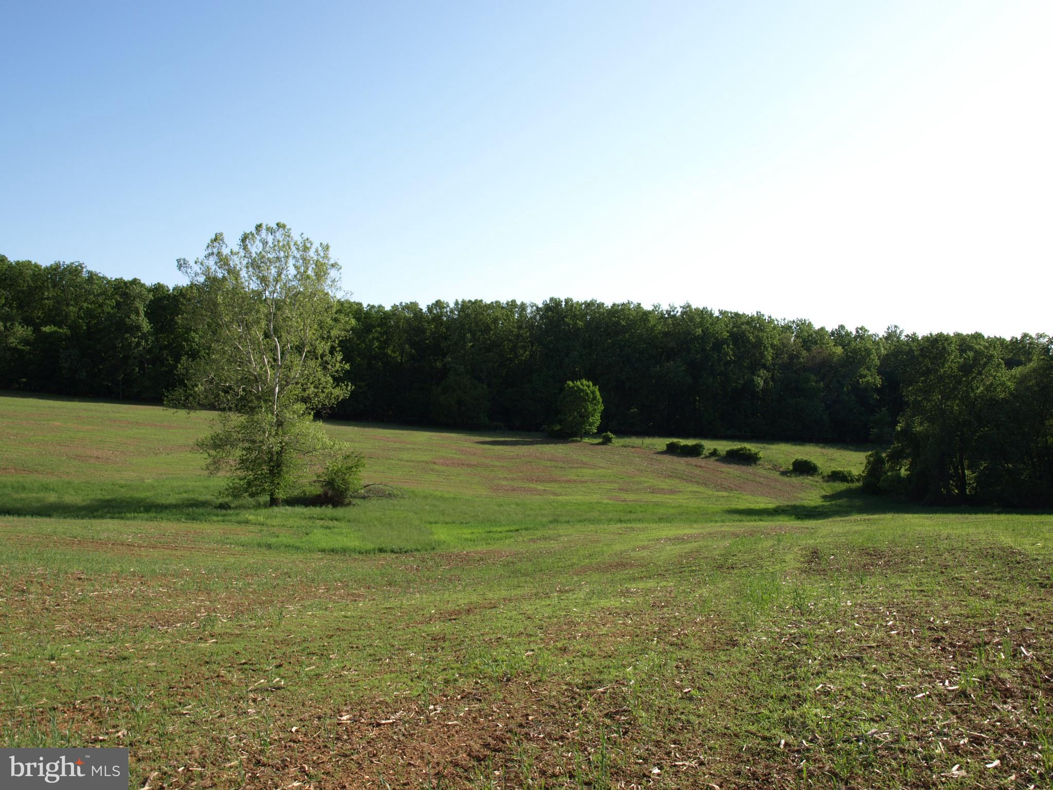 RESERVE AT BLACK ROCK - Land