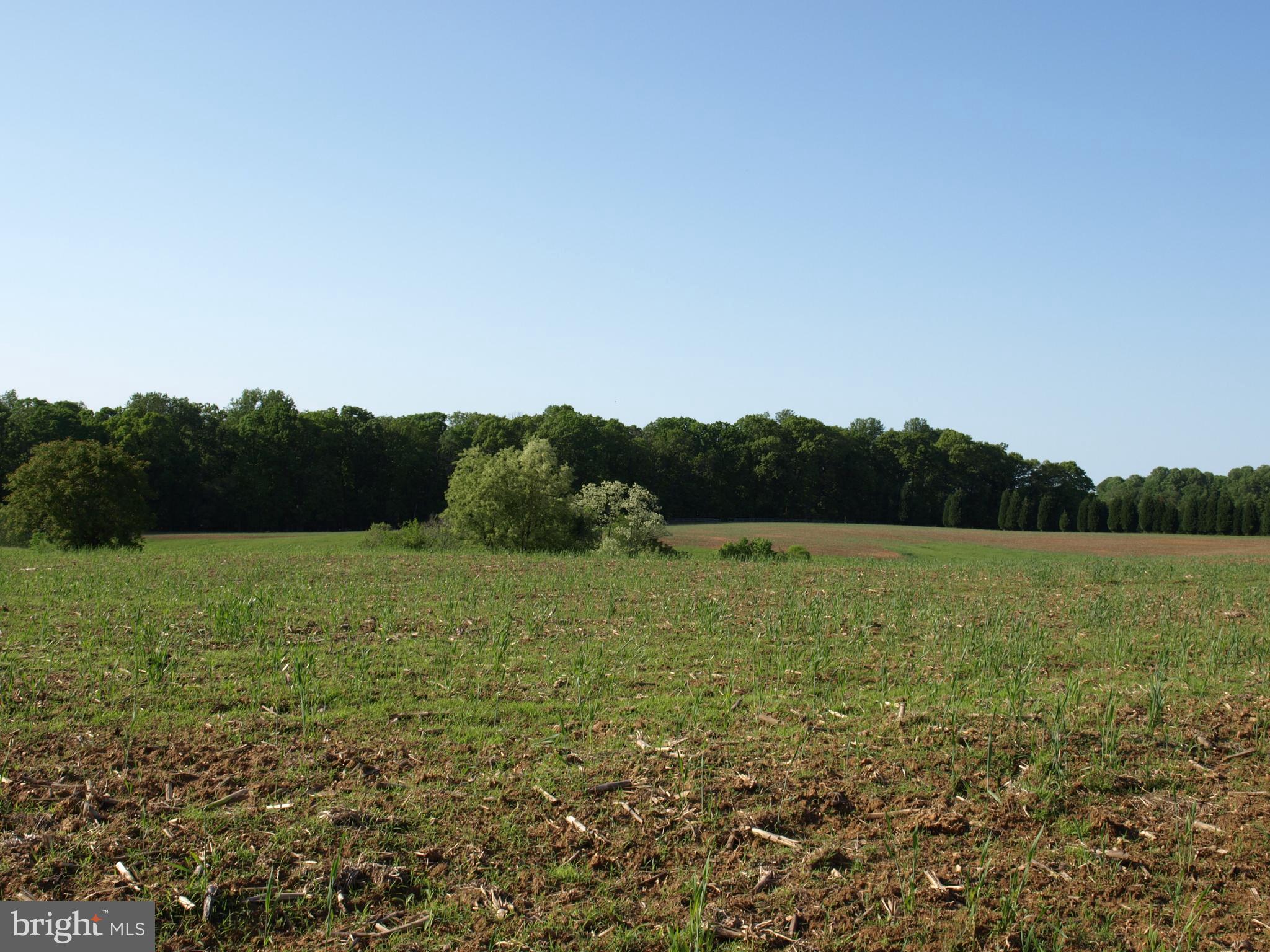 RESERVE AT BLACK ROCK - Land