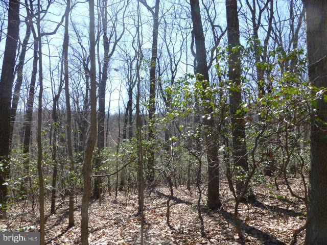 Gorgeous Wooded Lots, Extremely Private, yet minutes to Frederick & Major Commuter Routes.  Not you Typical Wooded Lot*  Situated down a Long Private Paved Lane, Perfect for your Dream Home* Well is in, conventional perc has been completed.  This lot is Ready to Build!  Bring your vision & Blueprints.  We also have  builder available for consultation*