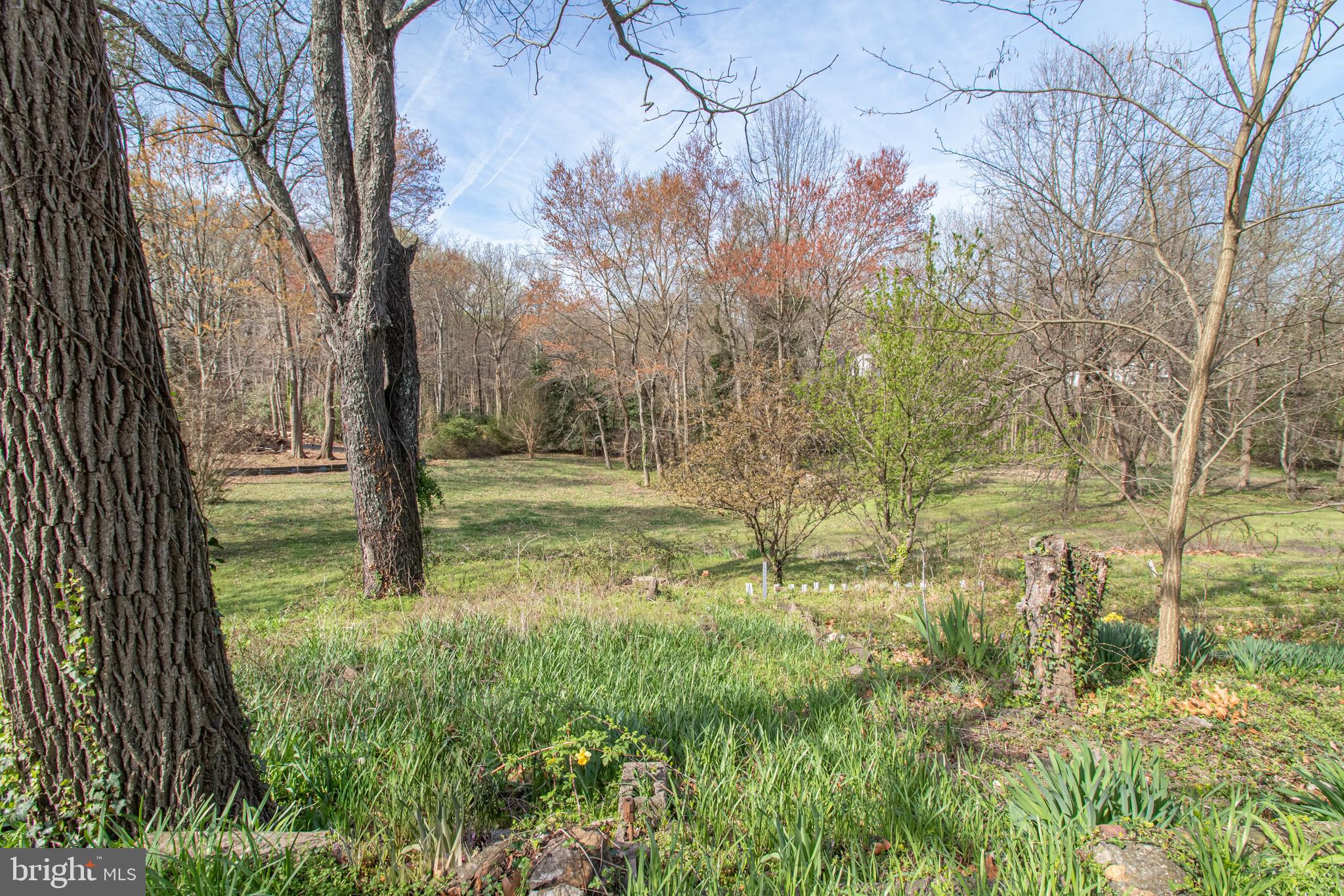 CHAPEL HILL - Residential