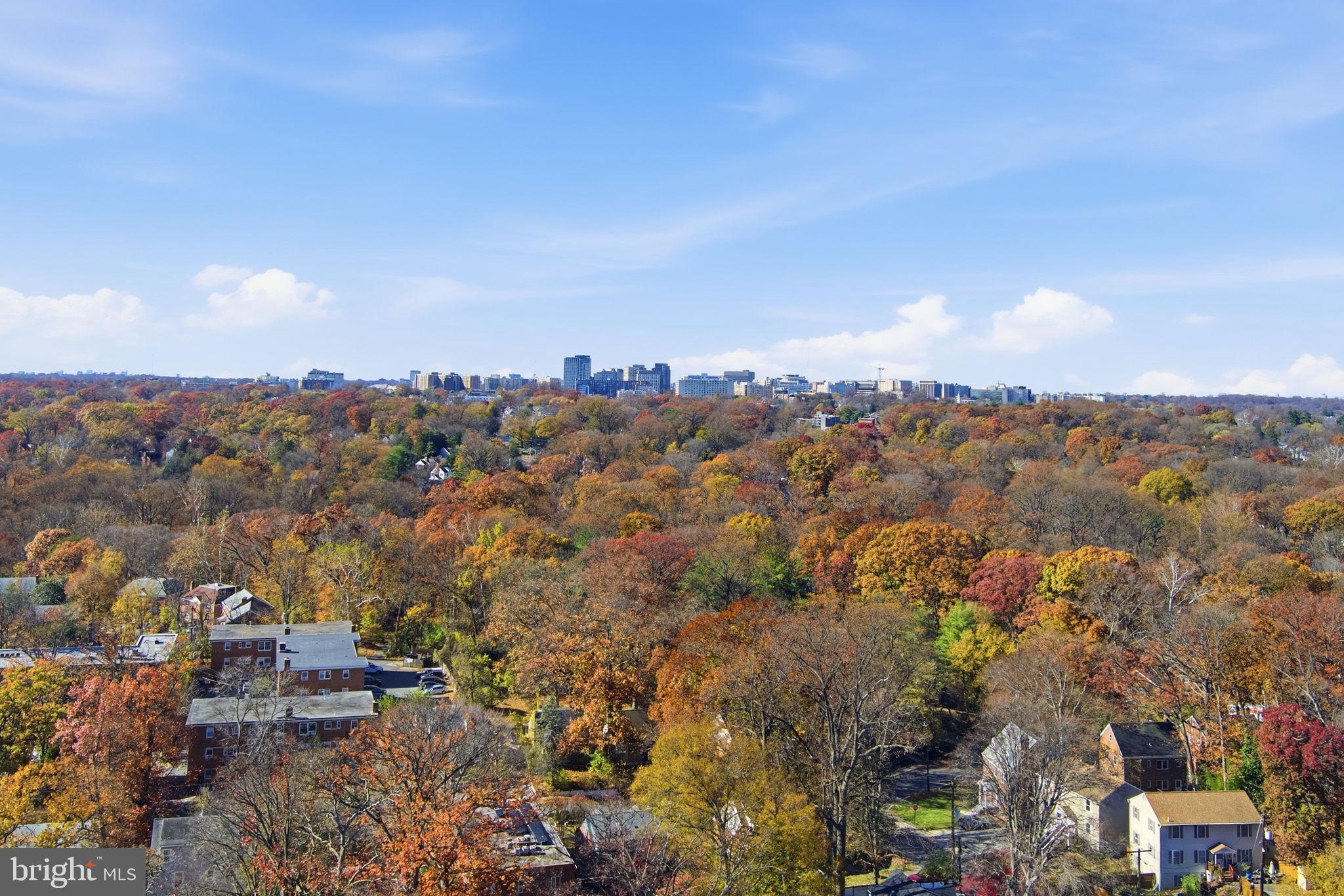 TAKOMA PARK - Residential Income