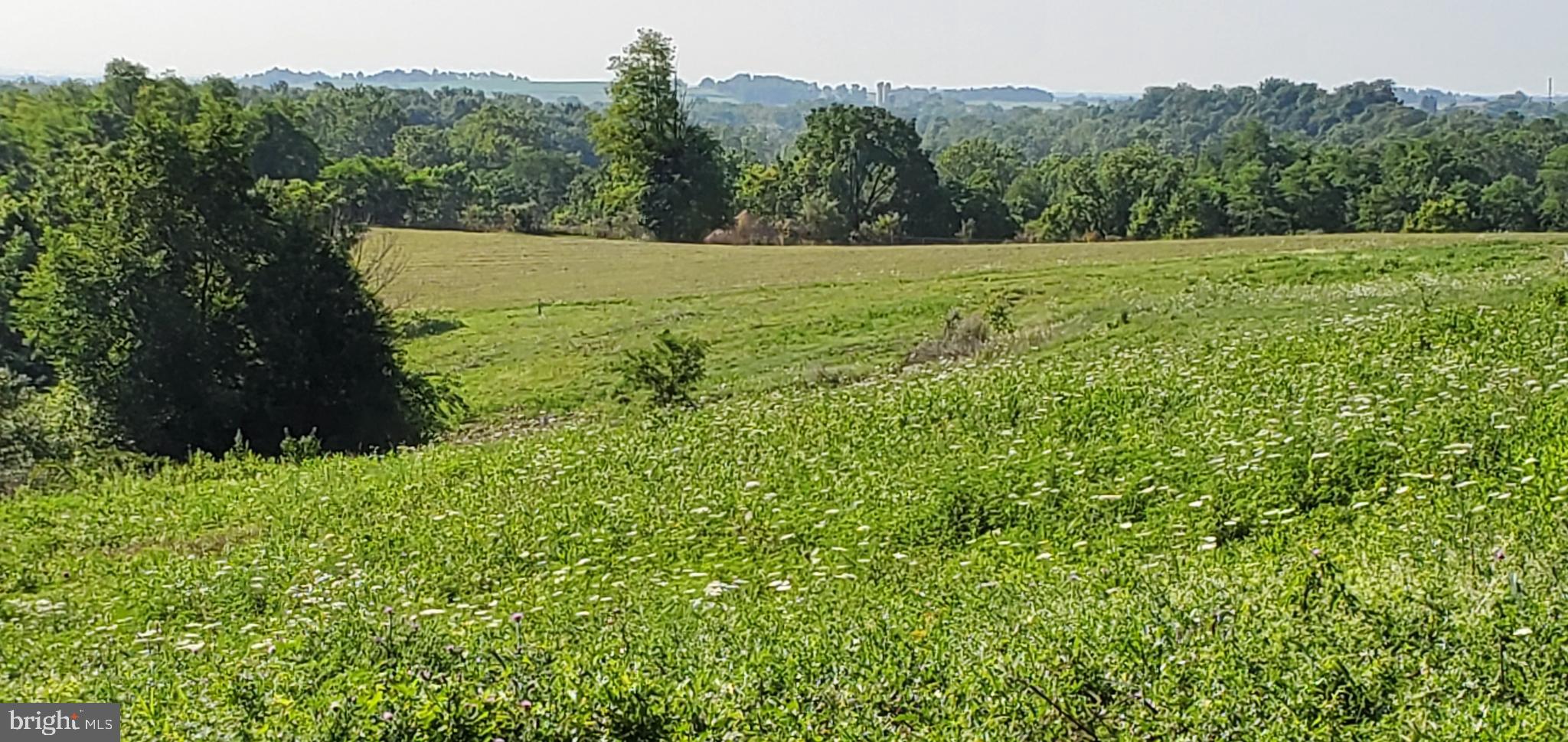 LOUDON'S VIEW - Land