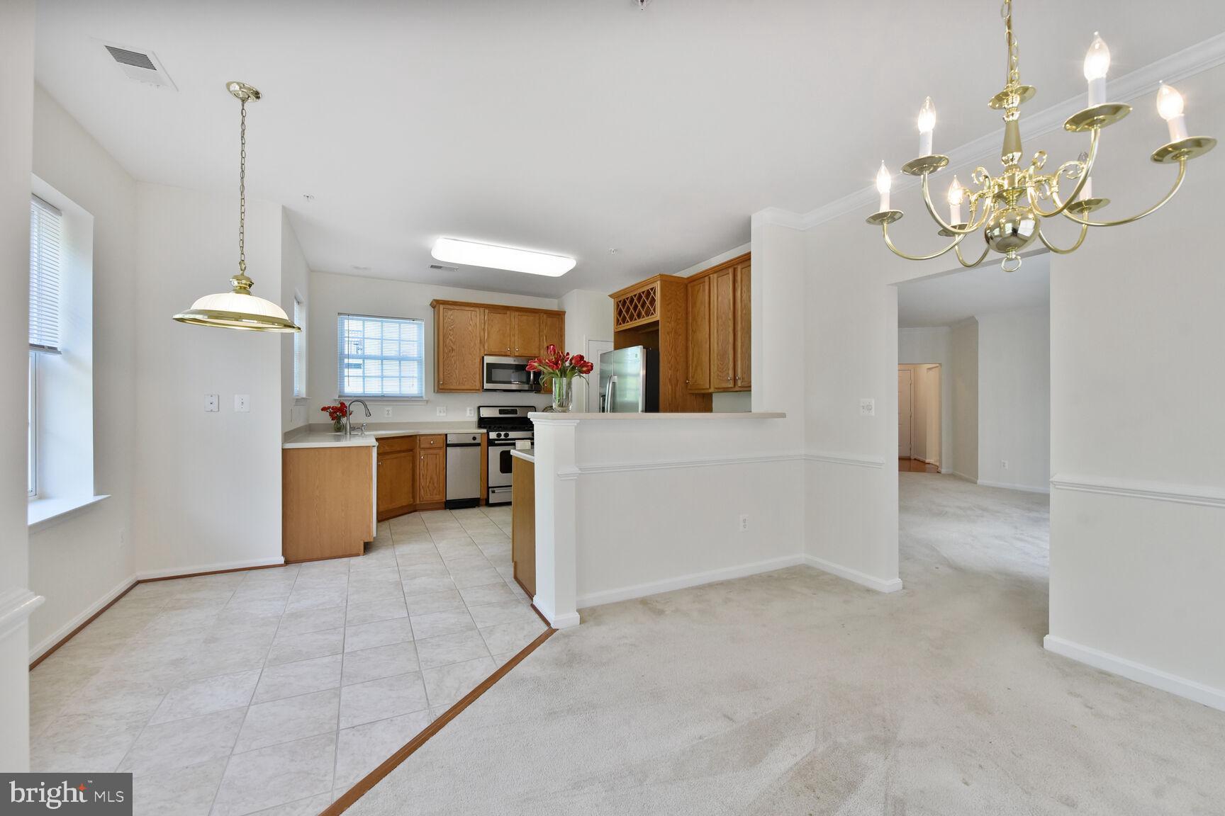 CENTRAL PARKE AT LOWES ISLAND - Residential