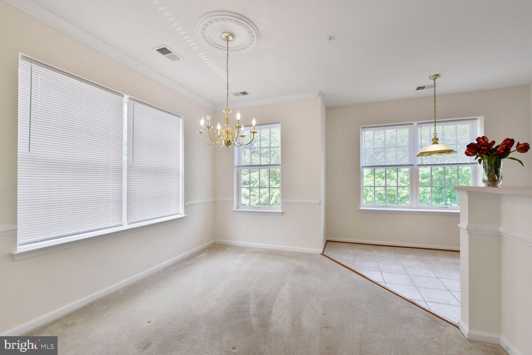 CENTRAL PARKE AT LOWES ISLAND - Residential