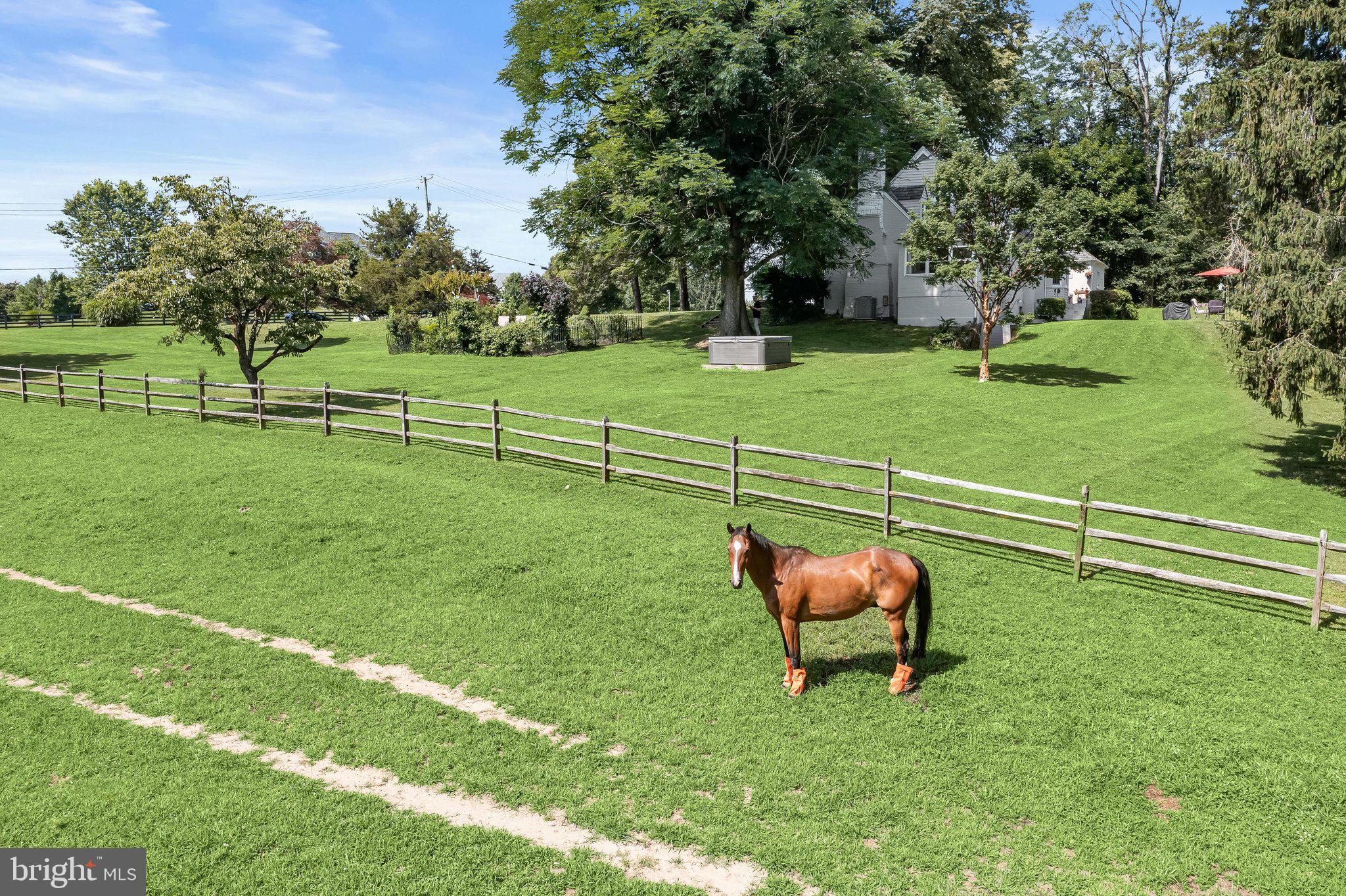 NONE AVAILABLE - Farm