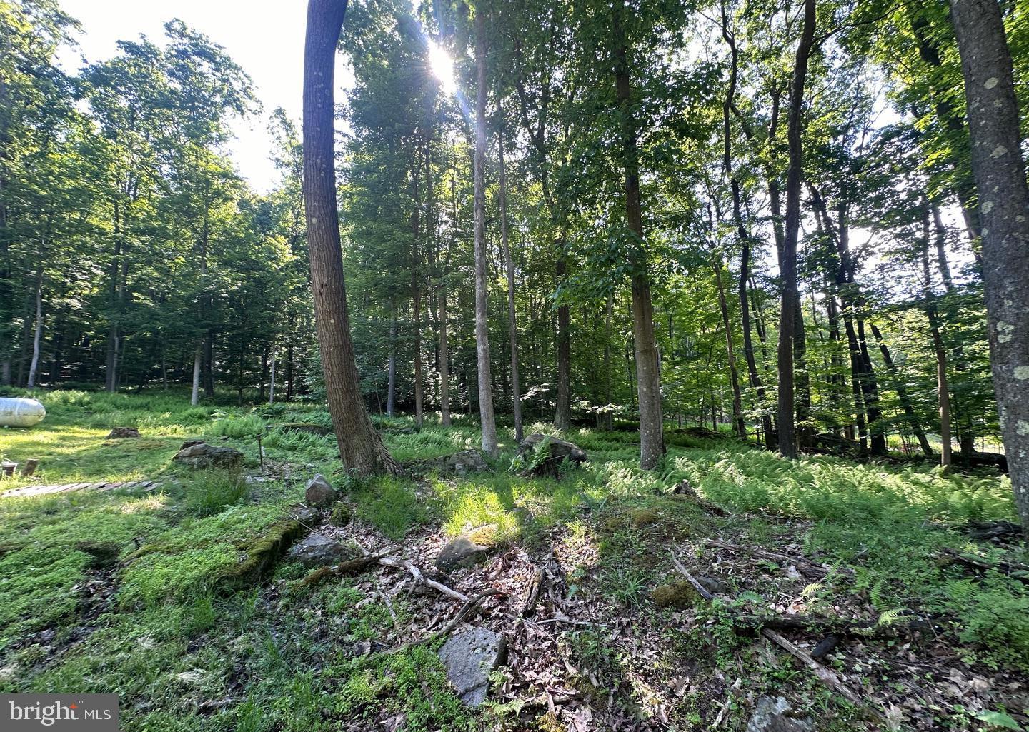 TIMBER TRAILS II - Residential