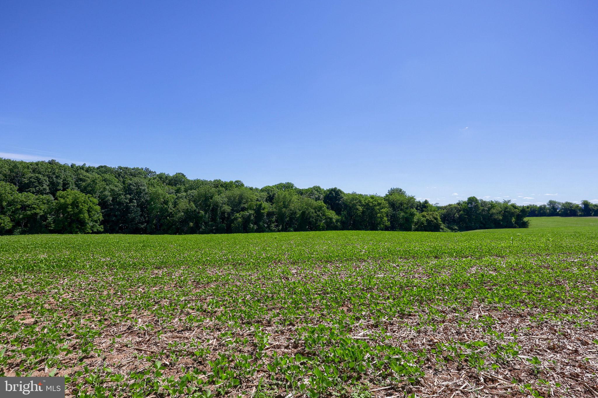 NORTH CODORUS TWP - Residential