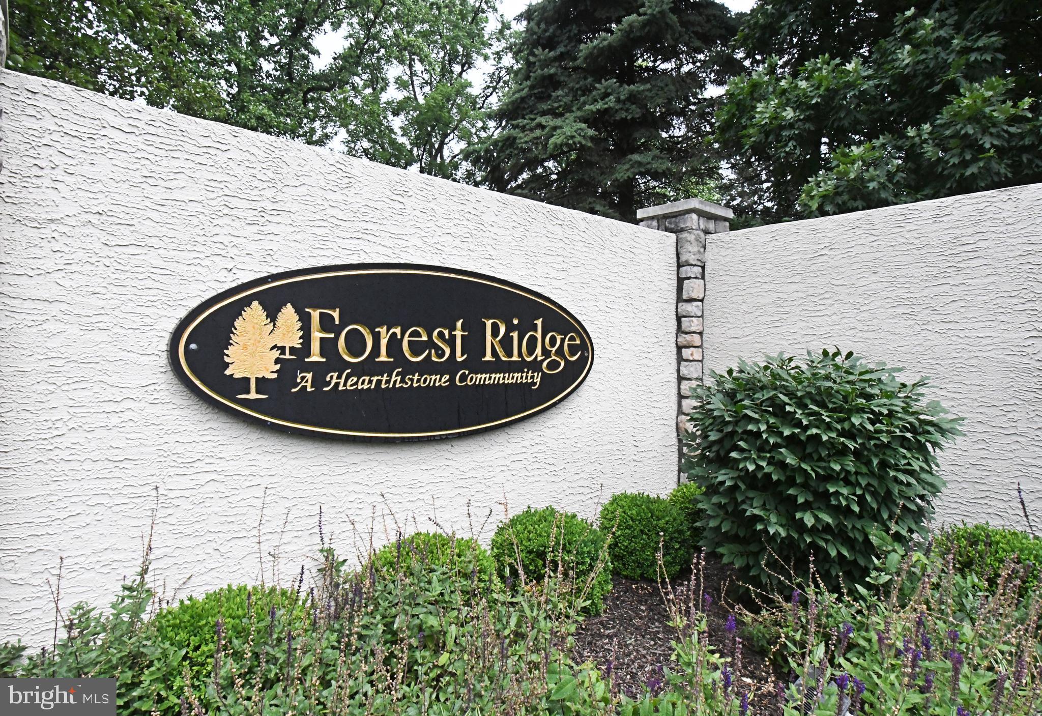 FOREST RIDGE - Residential