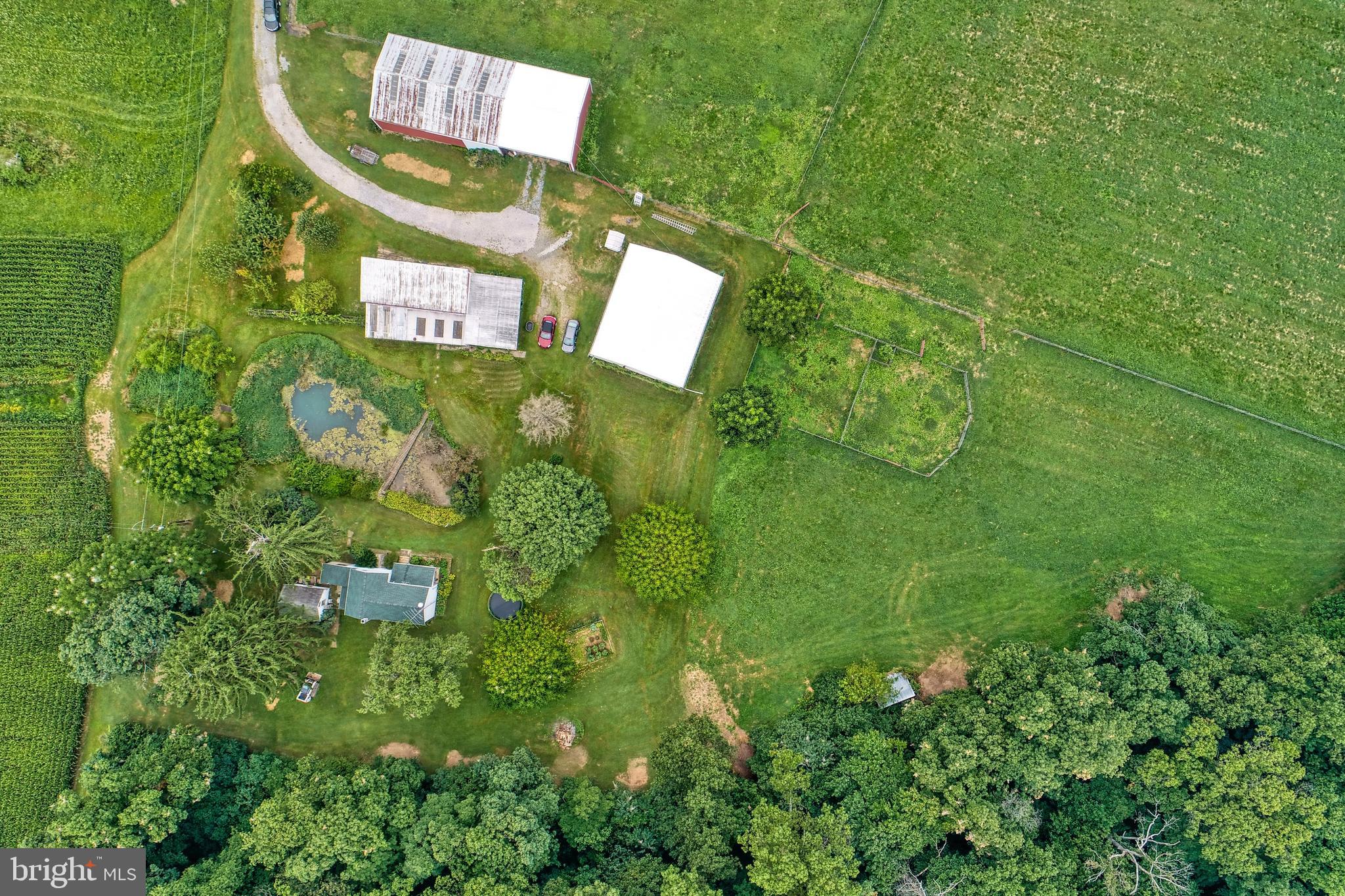 NONE AVAILABLE - Farm