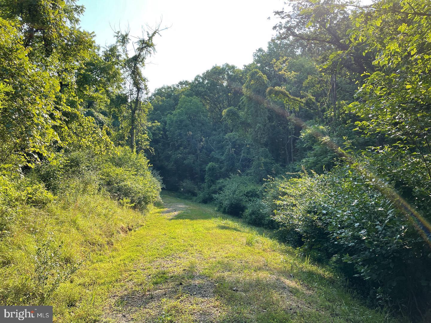 GREEN FIELDS - Land