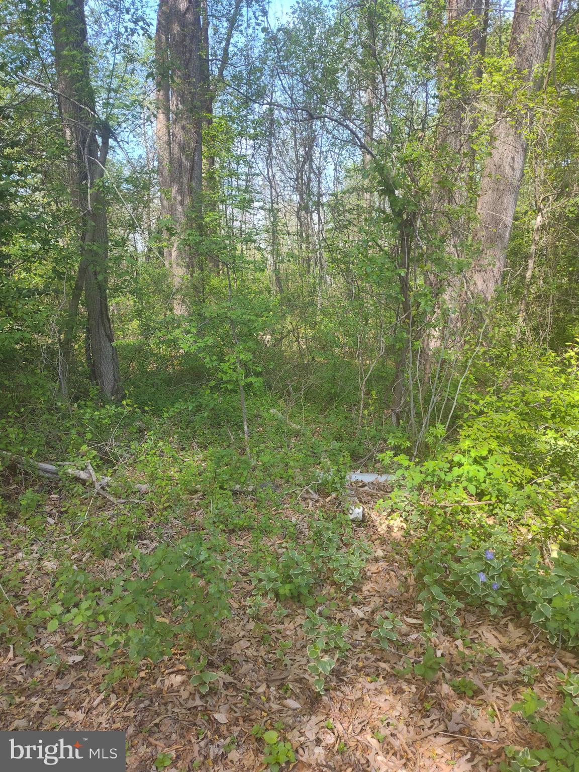 BROOKRIDGE - Land