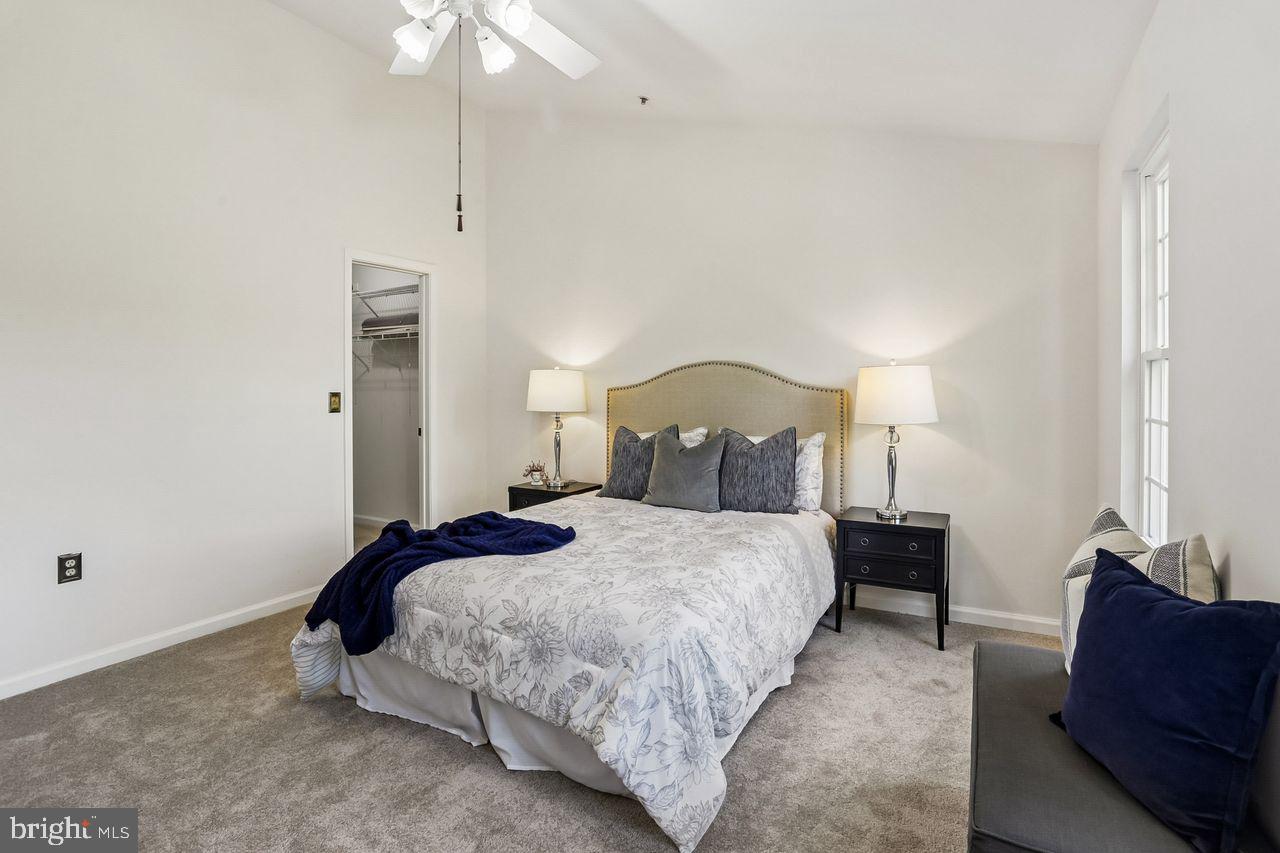 SYCAMORE MEWS - Residential