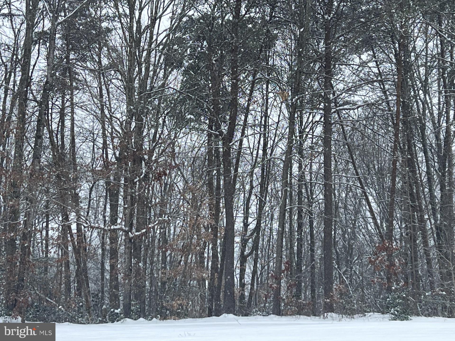 This property has never been perked. Great location, easy access.  Part of an estate. This property is being sold under VAWR2009154  Tax ID 23A-319-19-20-21-23