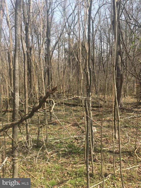 POOLESVILLE OUTSIDE - Land