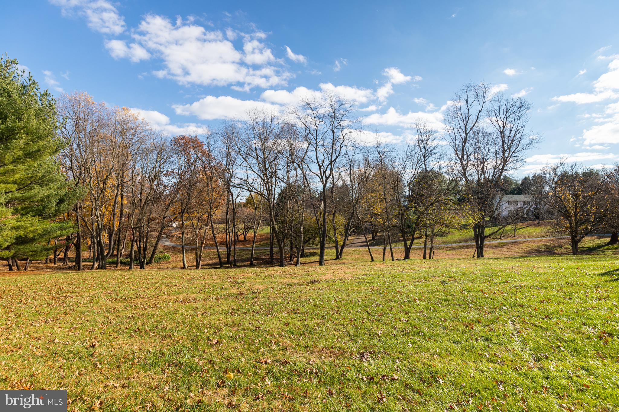 DELLWOOD - Residential