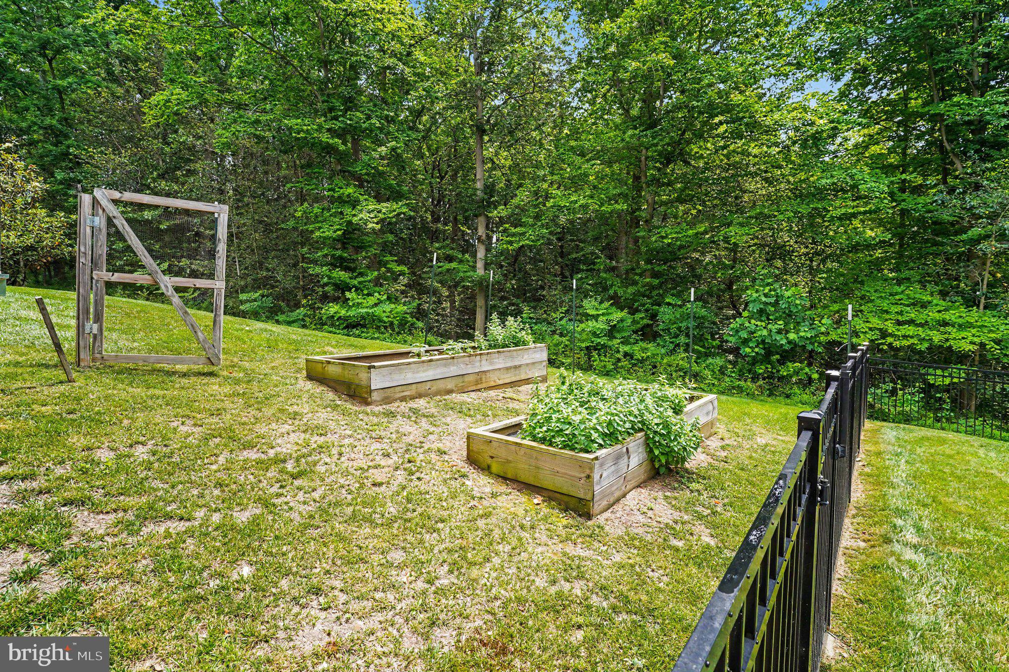 AINSLEY FOREST - Residential