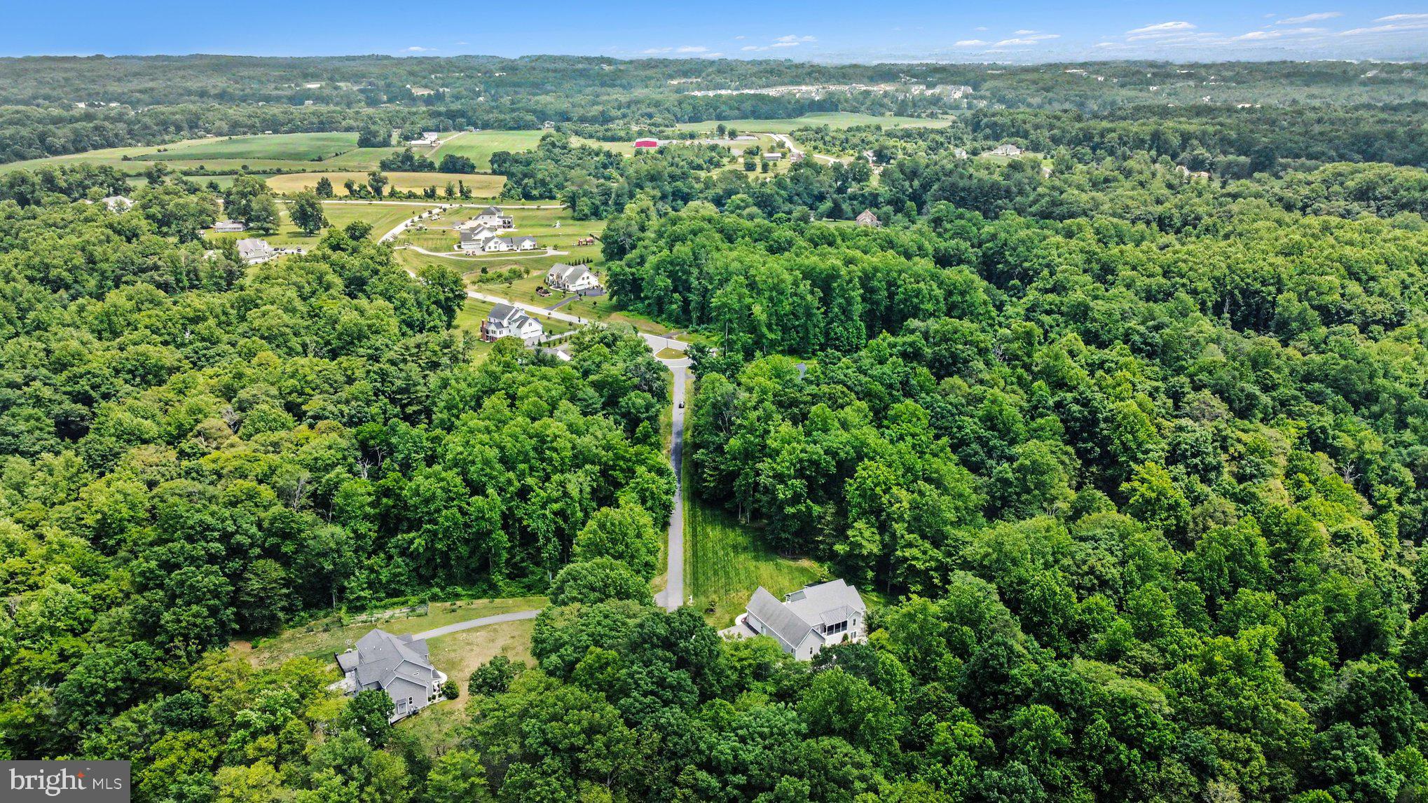 AINSLEY FOREST - Residential