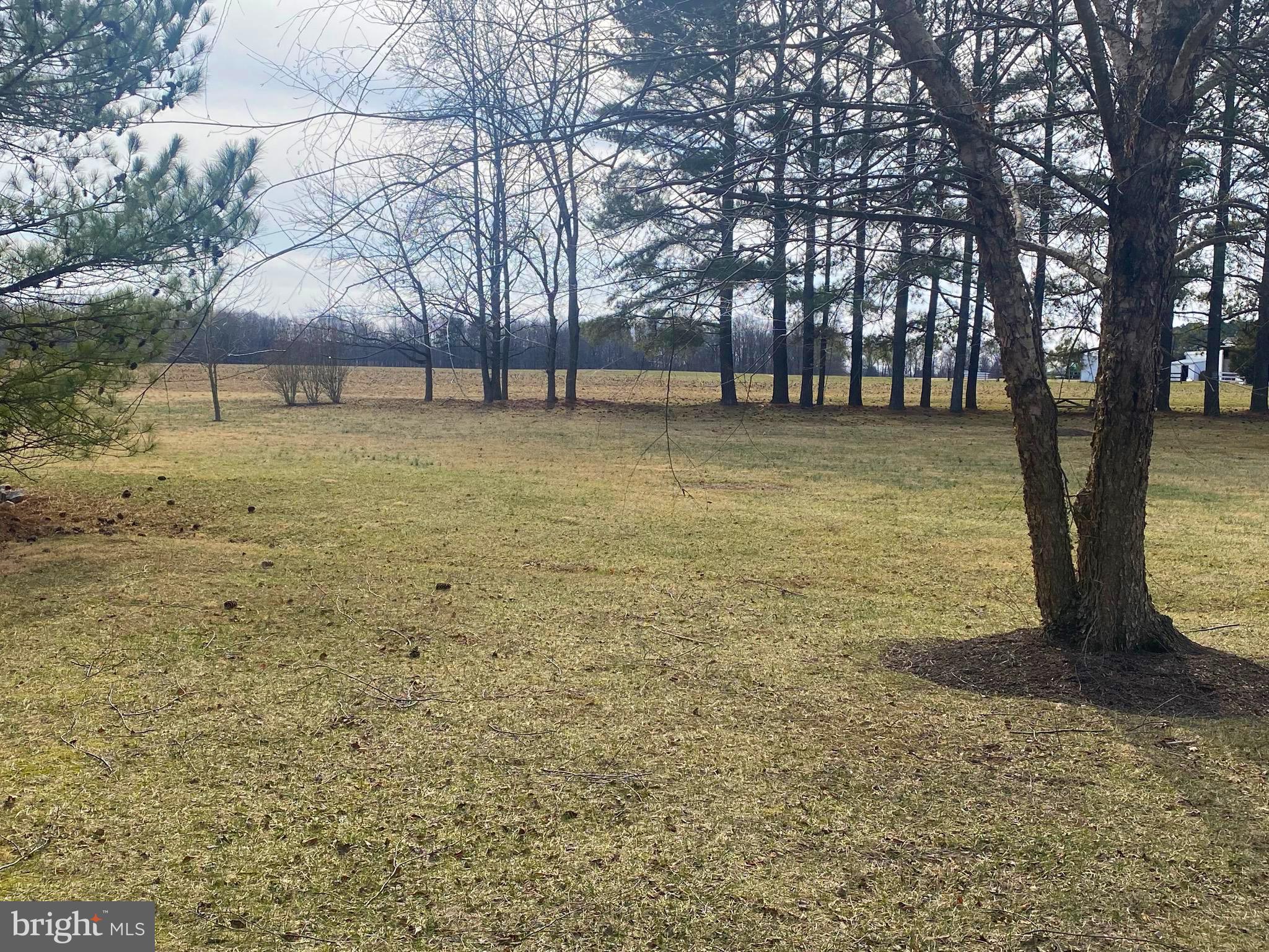 JACKS FIELD - Residential