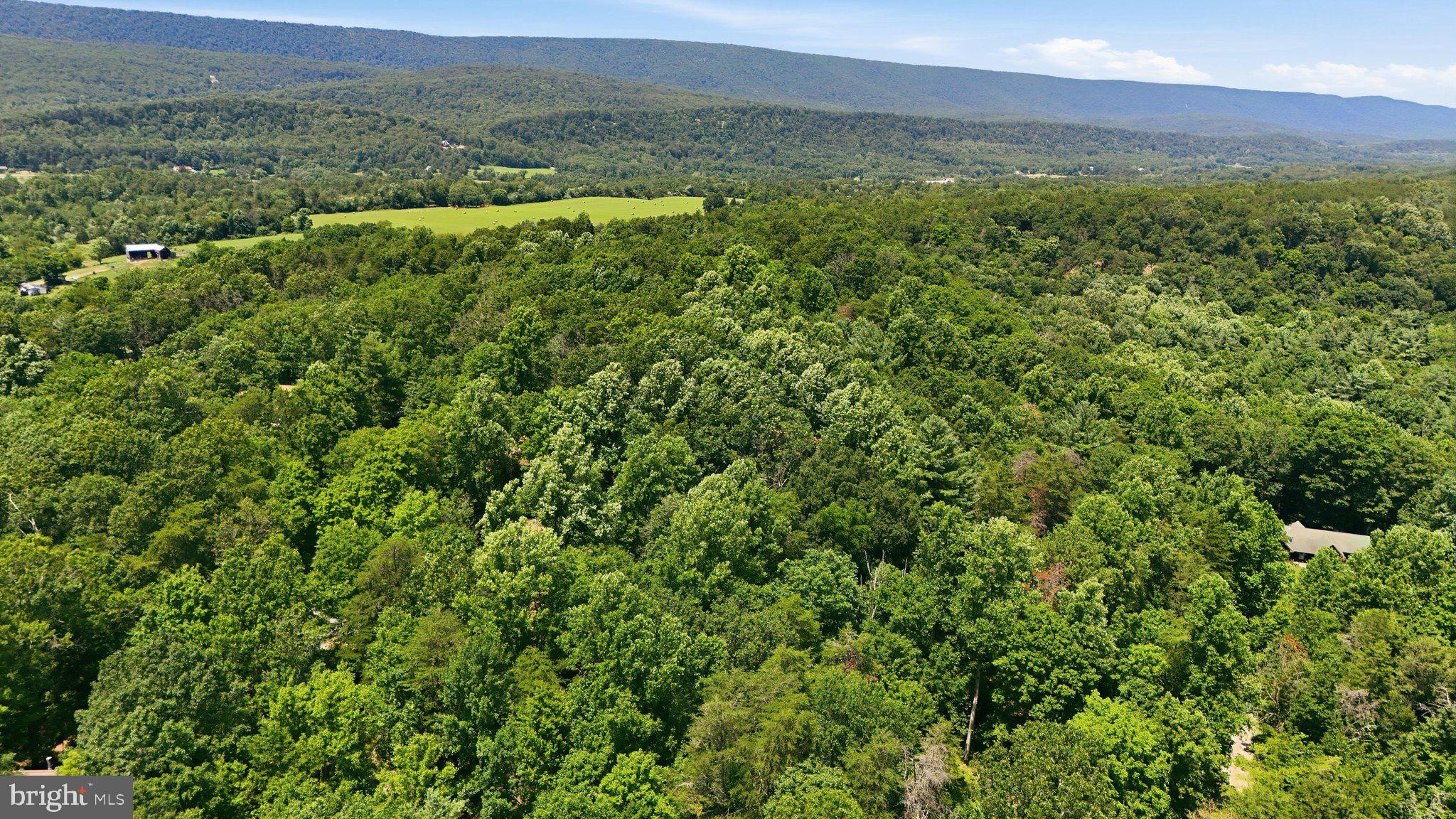BEAVER DAM WOODS - Residential