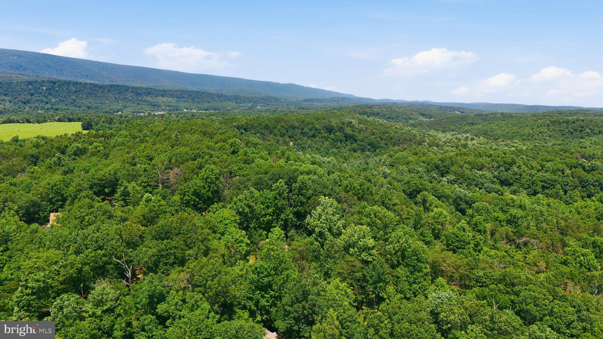 BEAVER DAM WOODS - Residential