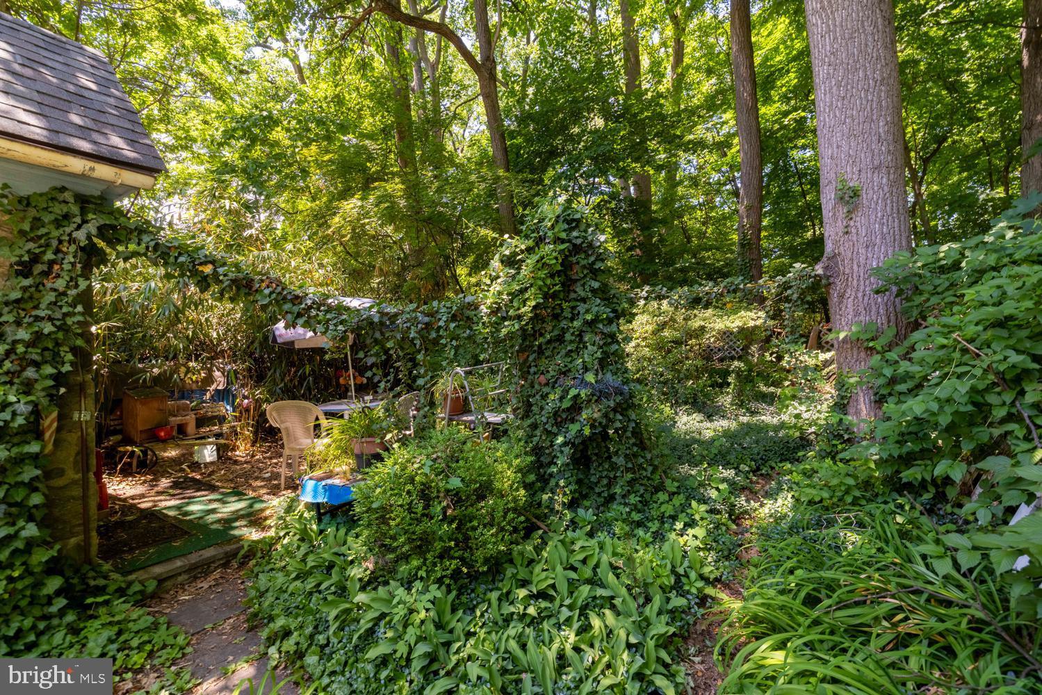 MT AIRY (WEST) - Residential