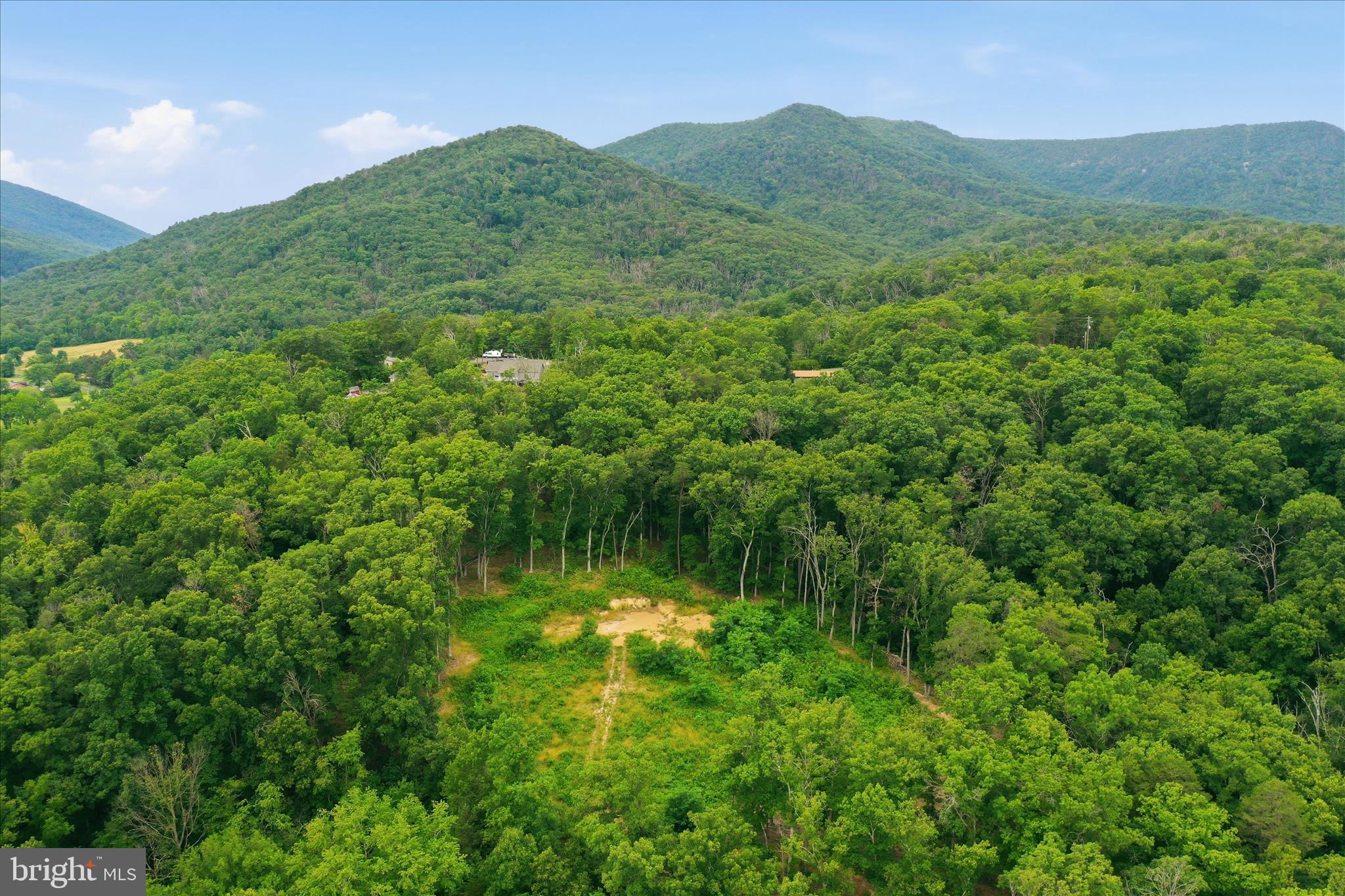 5 acres minutes to town and private. House site and driveway already cleared. Approved septic work.
Nice mature trees to provide maximum privacy!