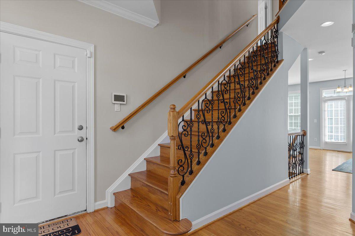 LORTON STATION - Residential